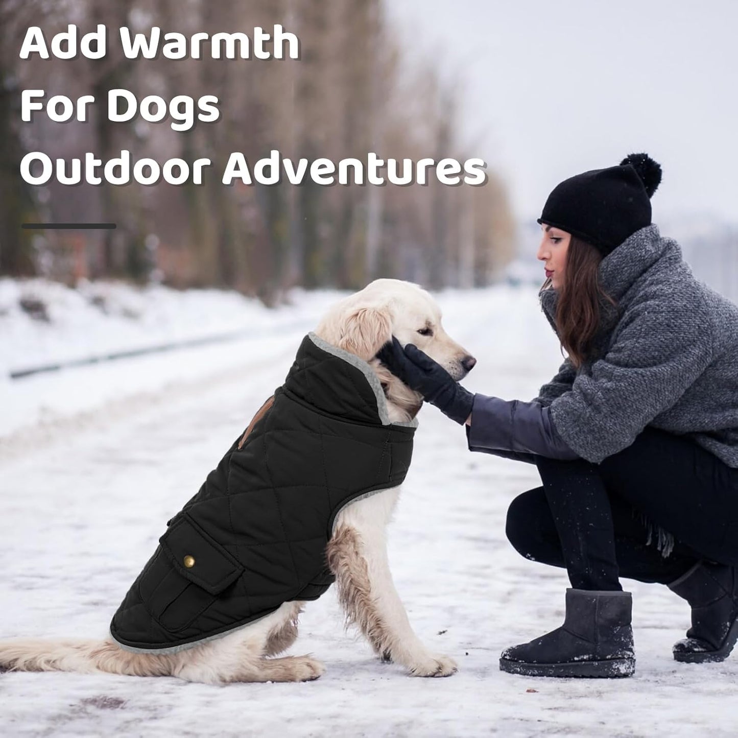 Queenmore Dog Winter Coat Warm Puffer Jacket Waterproof Plush Lining Thermal Cold Weather Vest for Small Medium Large Dogs, Windproof Easy On Pet Jacket Black S