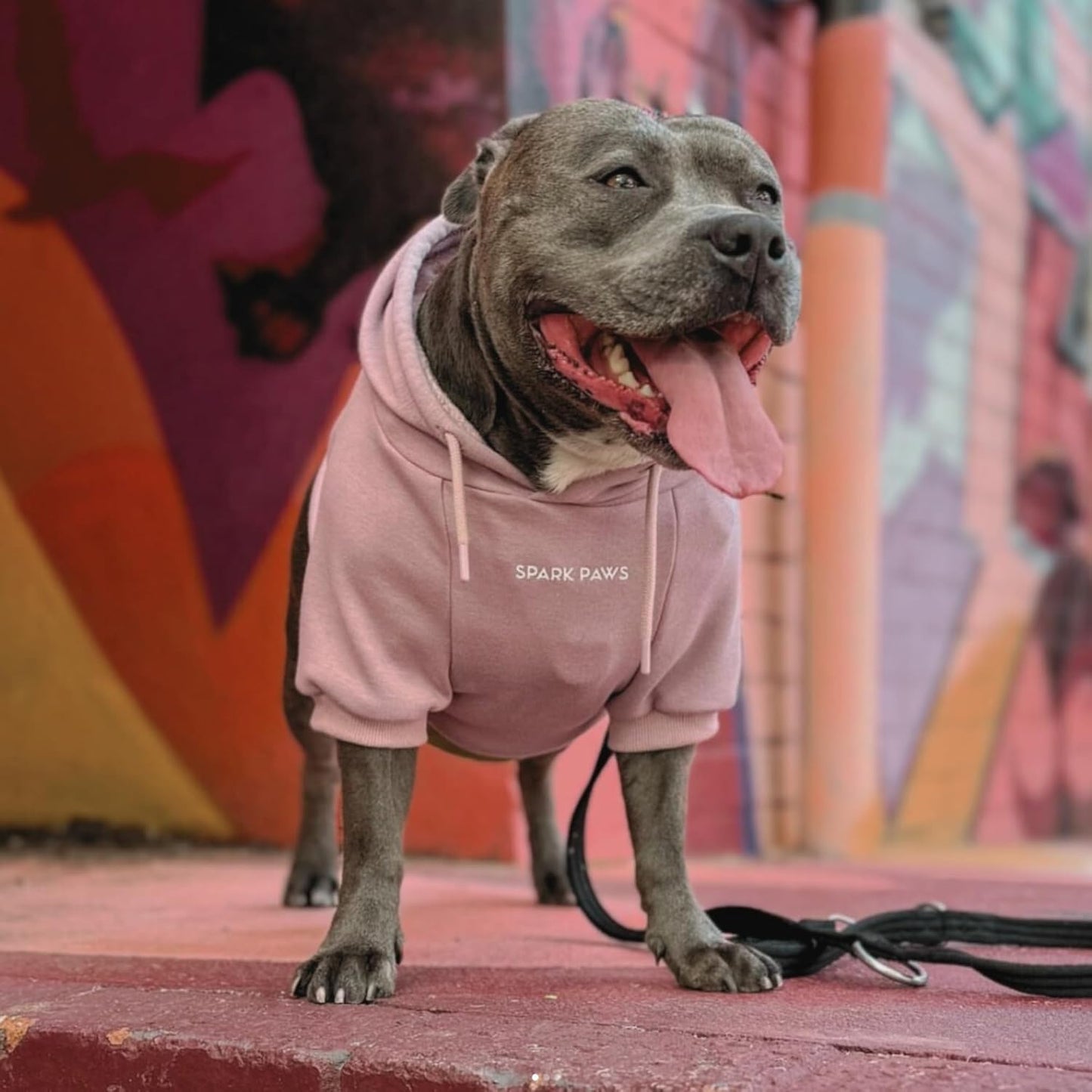 Spark Paws Dog Hoodie – Premium Dog Sweater for Small, Medium, and Large Dogs | Warm Outfits for French Bulldogs, Pitbull, Puppy, Winter Jacket Alternativee - Dusty Pink - 5XL