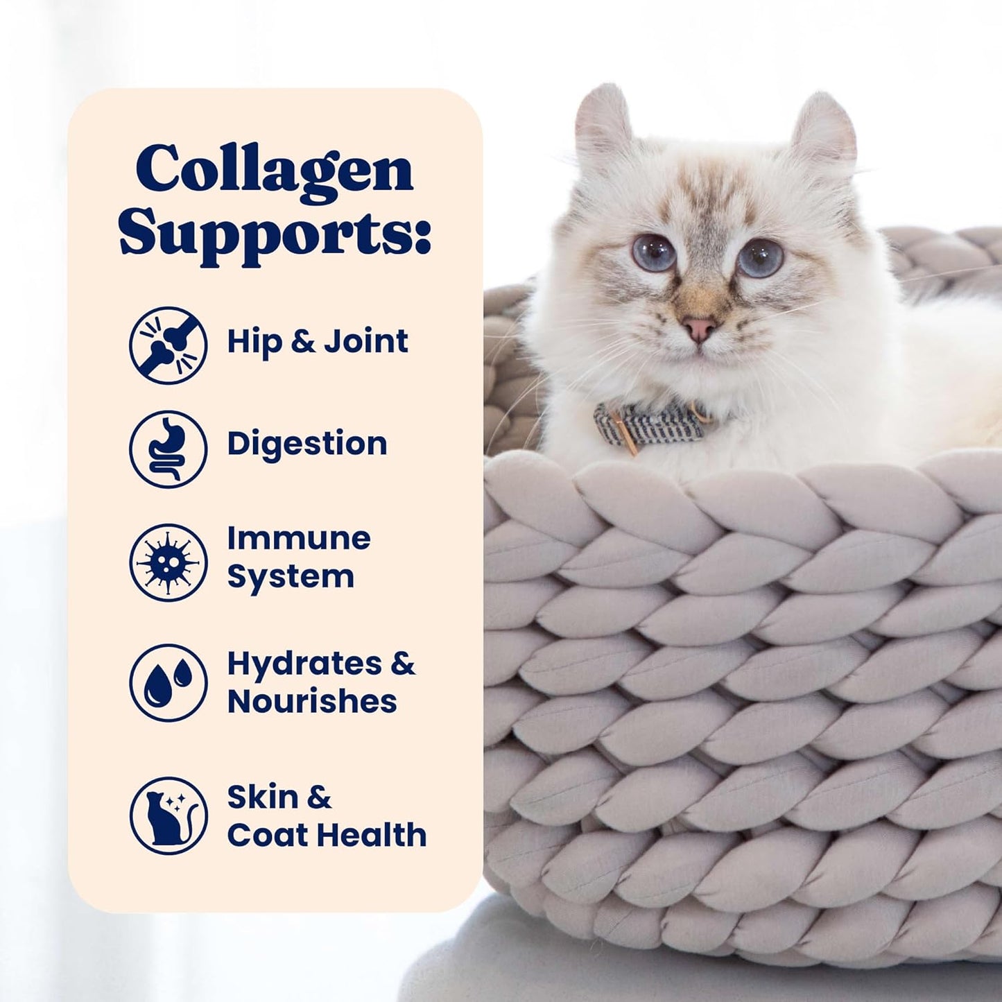 Solid Gold Bone Broth Cat Food Topper - Limited Ingredient Lickable Cat Broth Pouches w/Tuna Protein Shreds & Collagen for Hydration & Gut Support - Easy to Serve Gravy for Cats Meal Topper - 12ct