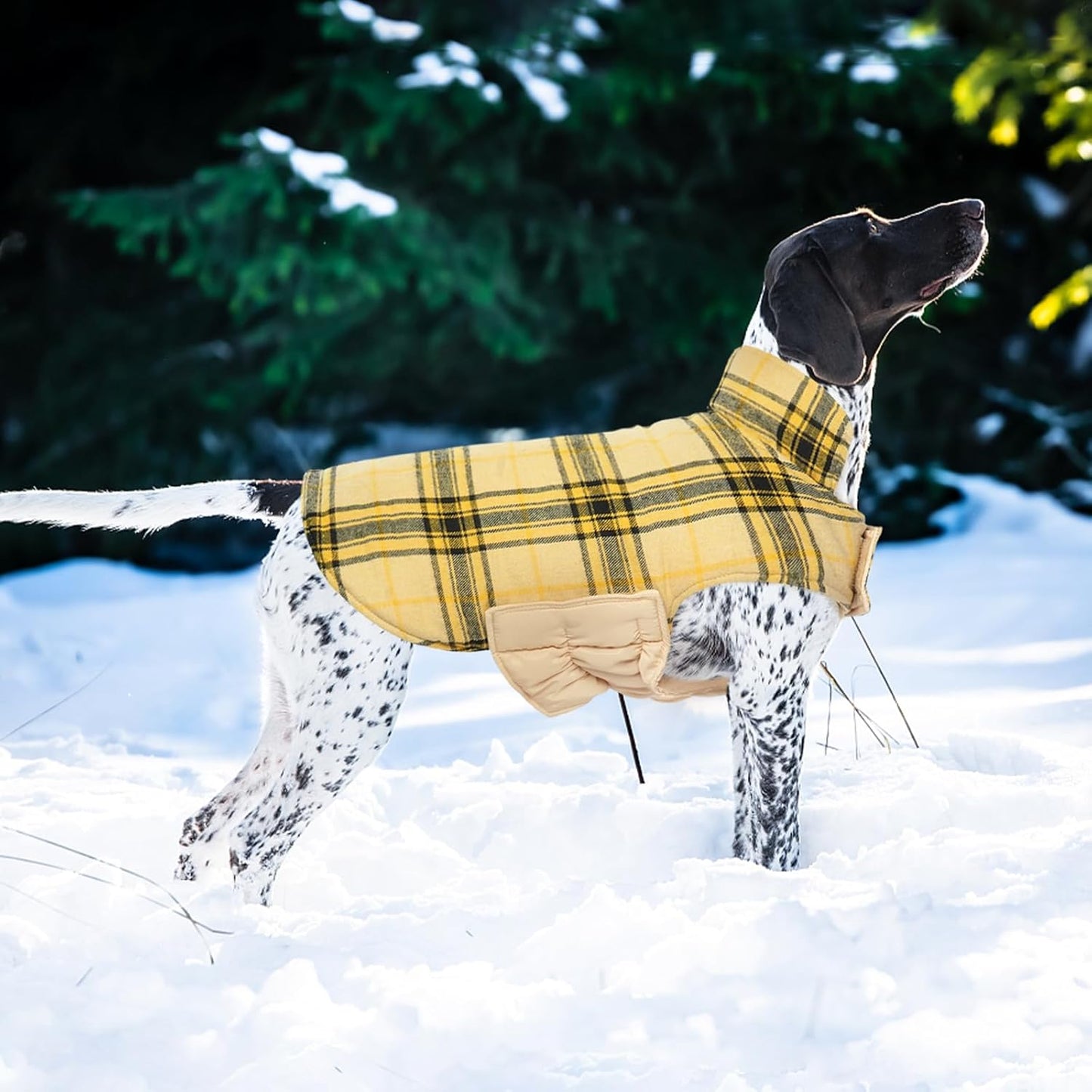 Kuoser Warm Dog Coat, Waterproof Dog Jacket for Extra Large Dogs, Adjustable Durable XL Doggie Winter Coat Reversible Cozy Puppy Cold Weather Apparel from Small to Large Breed, Yellow XL