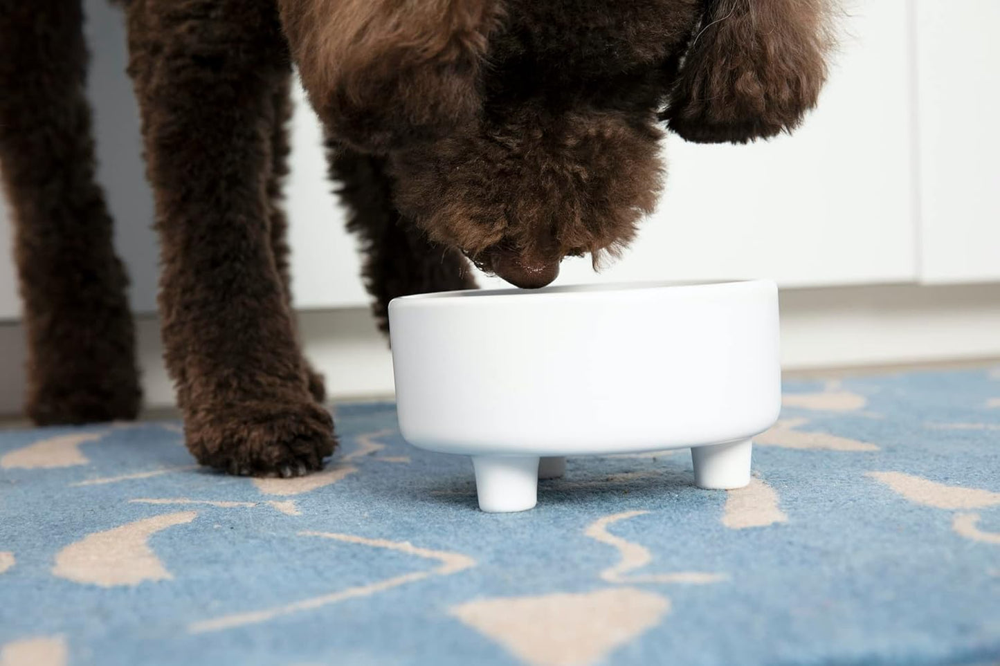 Waggo Uplift Ceramic Dog Bowl for Small Medium and Large Breeds - Heavyweight and Durable Pet Food and Water Dish Crock, Dishwasher Safe, Modern, Elevated Feeder (Small, Black)