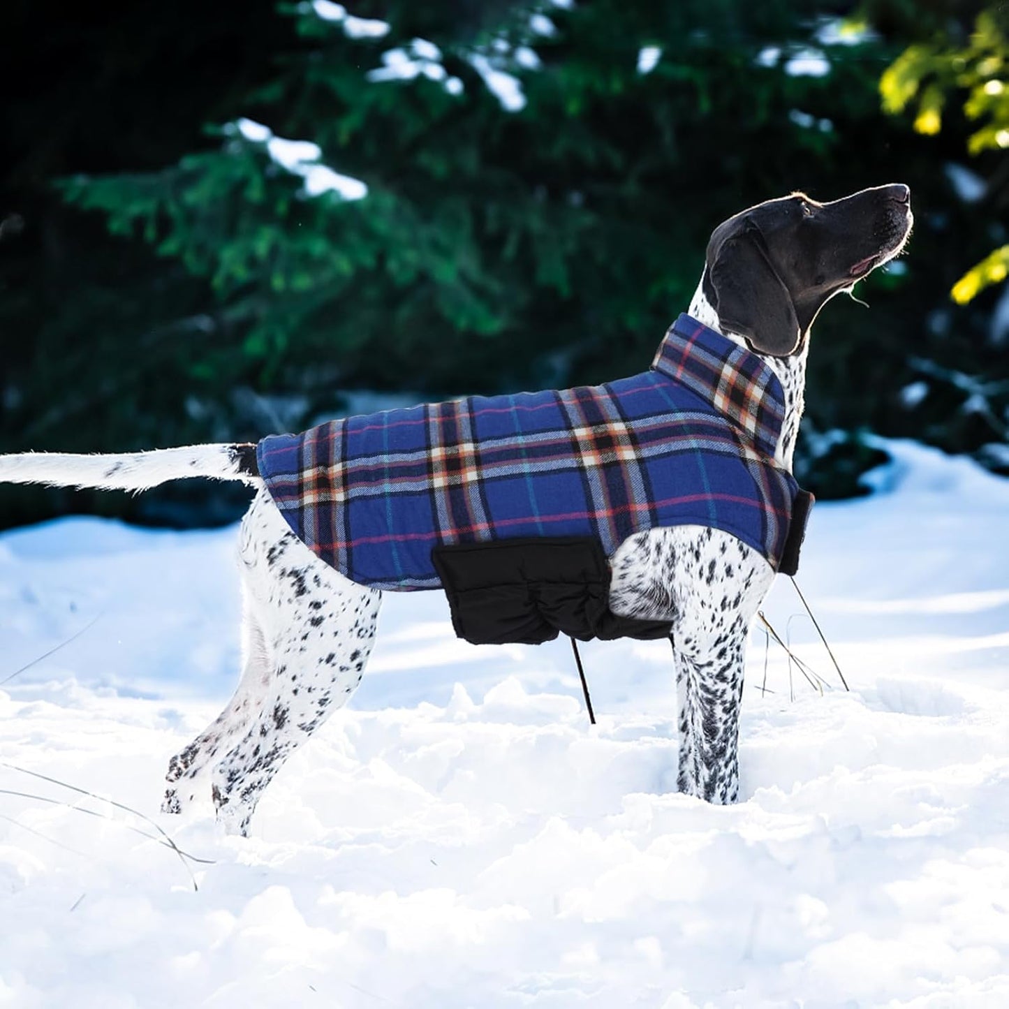 Kuoser Waterproof Dog Coat, Reversible Dog Jacket for Medium Dogs, Adjustable Durable Doggie Winter Coat Warm Puppy Cold Weather Apparel from Small to Large Breed, Navy M