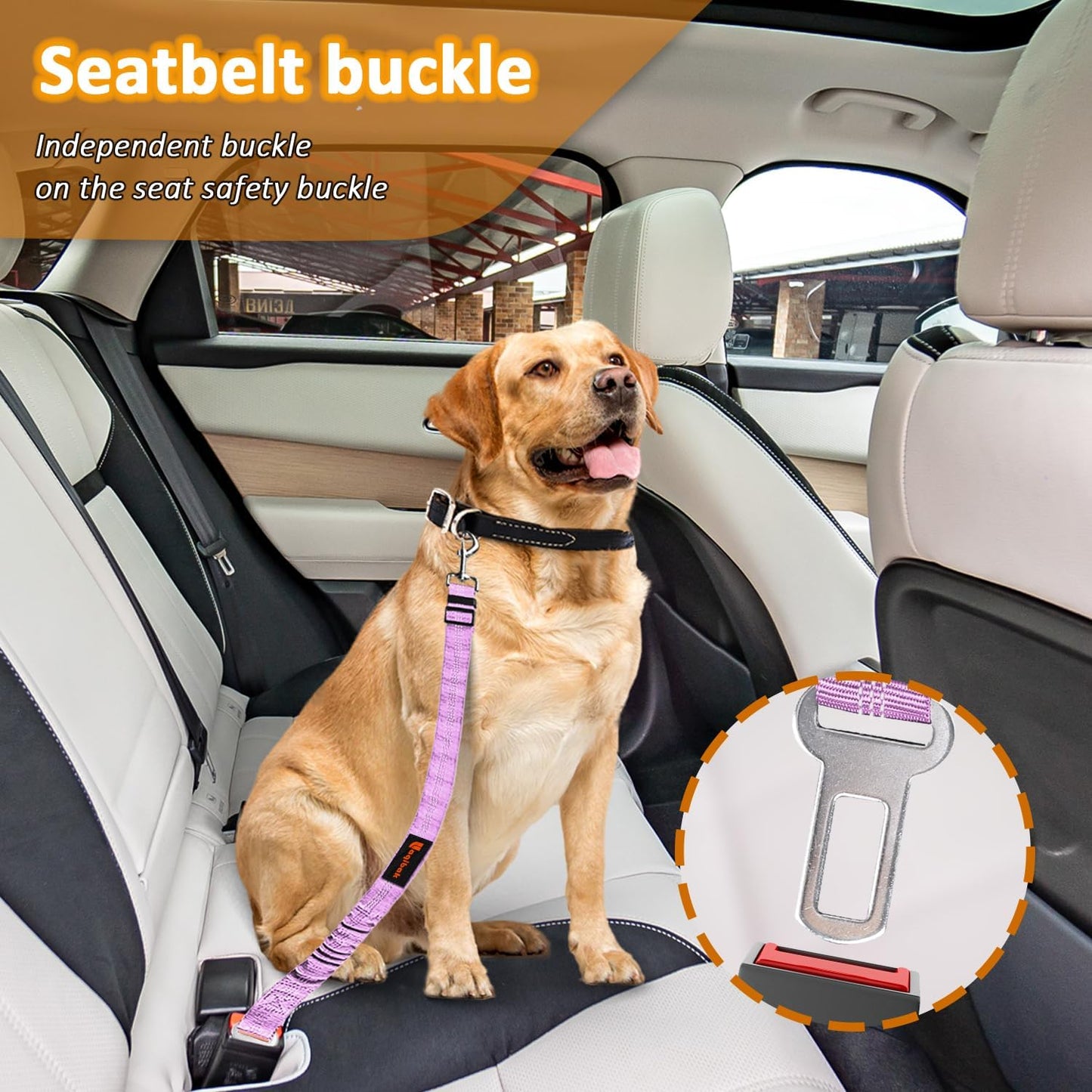 Removable Dog Seat Belt Harness for Car, 3 in 1 Pet Dog Car Seatbelt Leash, Retractable Restraint Secures to Vehicle Headrest & Adjustable Reflective Bungee Dog Seatbelt Tether, Purple