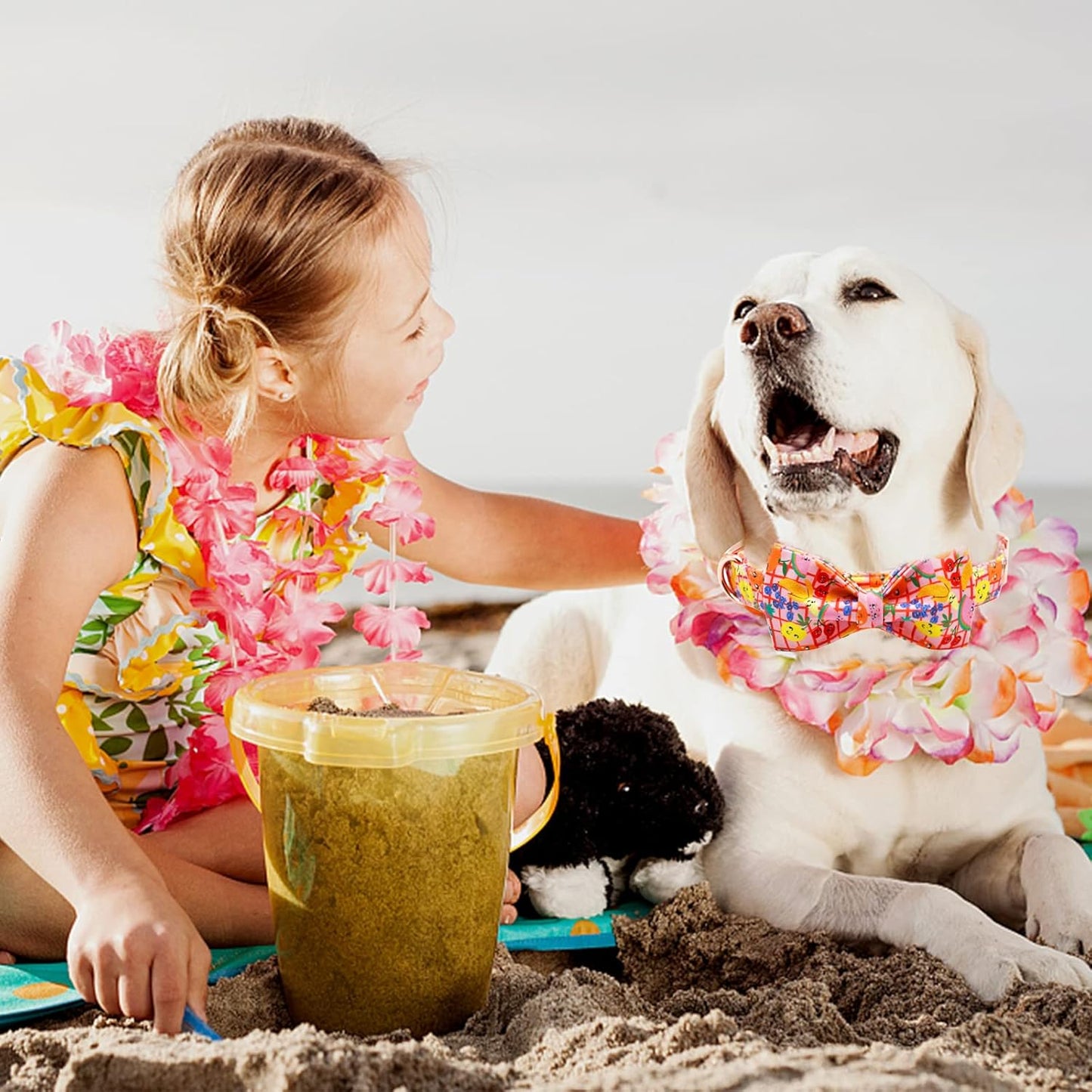 Elegant Little Tail Fruit Print Dog Collar - Cute Bowtie for Small to Large Dogs