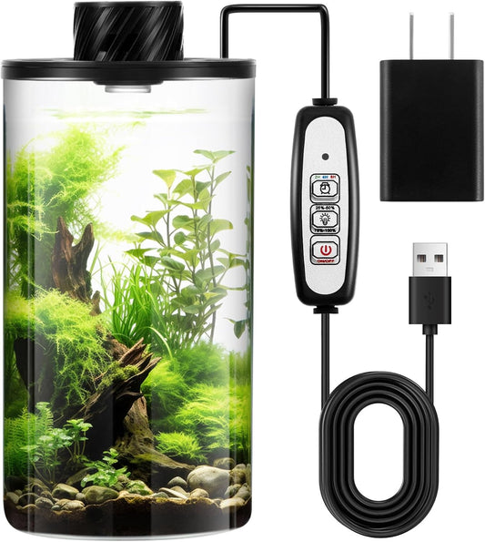 Maxdot Glass Plant Terrarium Kit with Light for Succulent, Moss, Miniature Gardening Landscape, Betta Fish Tank, Office Home Decoration, Plant Lovers Gifts (7.9 x 3.9 Inch)