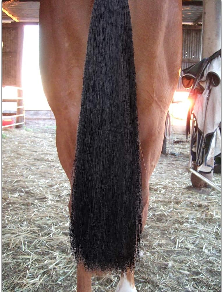 Horse Tail Extensions with Braided Horsehair Loop, Blunt Cut Bottom, 34-36 inches long and 1 lb Weight (Jet Black)