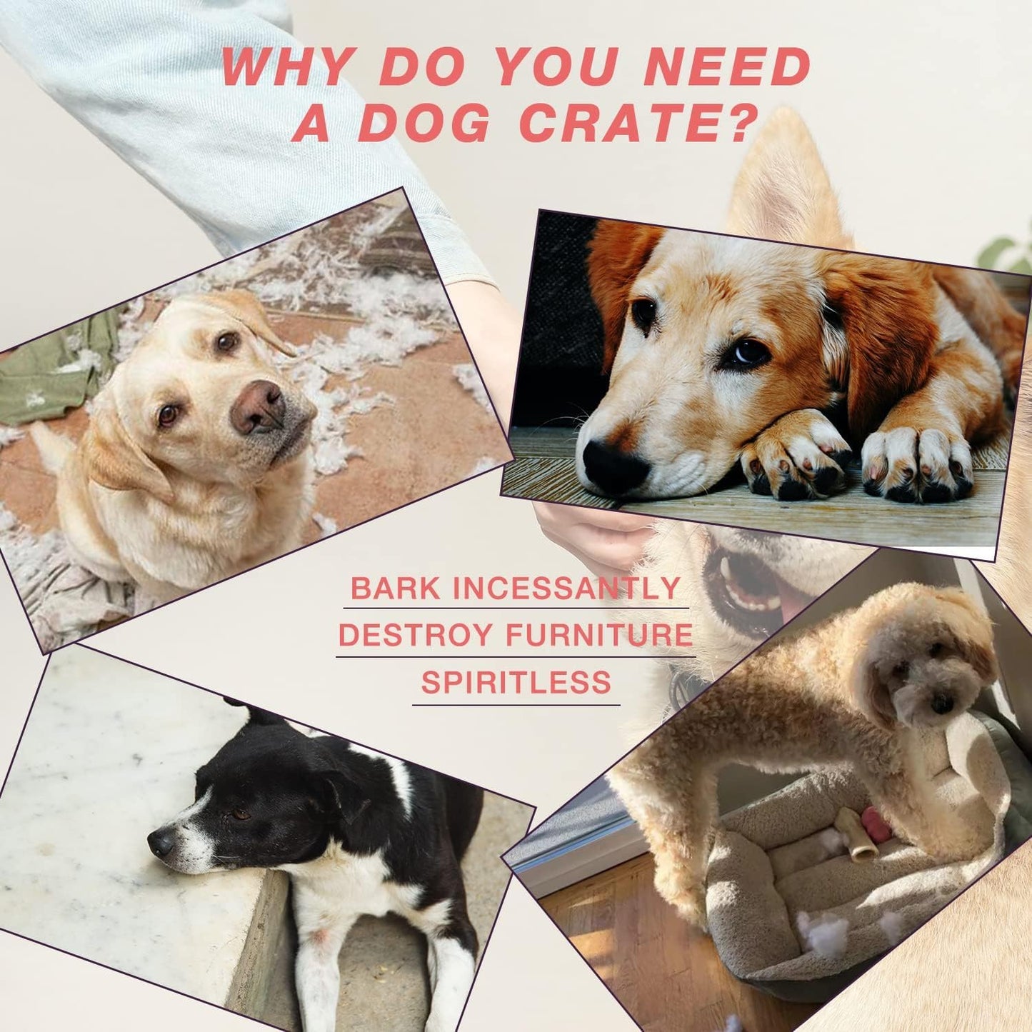 Heavy Duty Indestructible XL Dog Crate Steel Escape Proof, Indoor Double Door High Anxiety Cage (48-Inch-Silver)