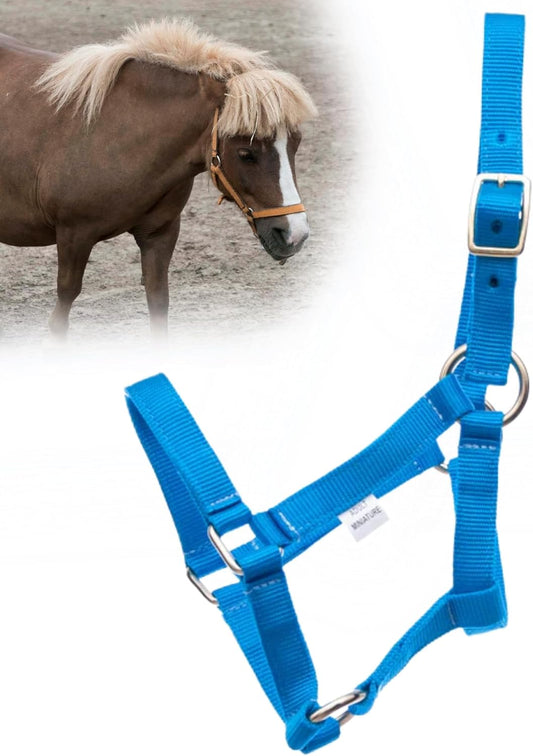 Jeffers Equine Mini Horse Halter – 3/4" Nylon Adjustable Halter for Miniature Horses, Ponies, Under 200 lbs – Heavy Duty Hardware, Secure Fit for Training, Turnout, Grooming, Travel – Turquoise
