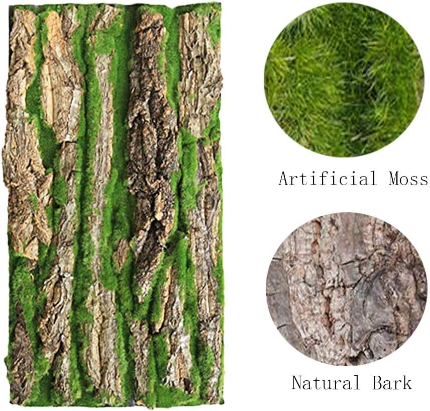PINVNBY Cork Terrarium Background,Reptile Bark Backdrop Wall Decor and Artificial Moss for Gecko,Lizard,Tortoise,Chameleon (2 Pack)