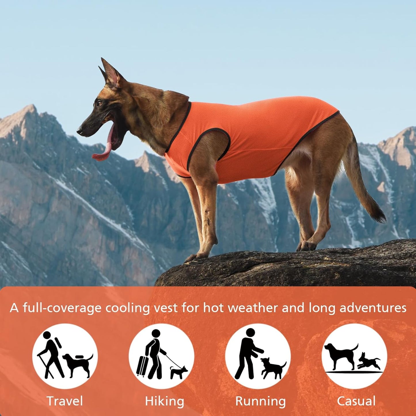 2 Pack Cooling Shirts for Dogs, Lightweight Mesh Breathable Dog Clothes for Small Dogs Boy Girl,Sun-Protection Sleeveless Shirts for Dog&Cat Puppy Vest Pet Apparel - S