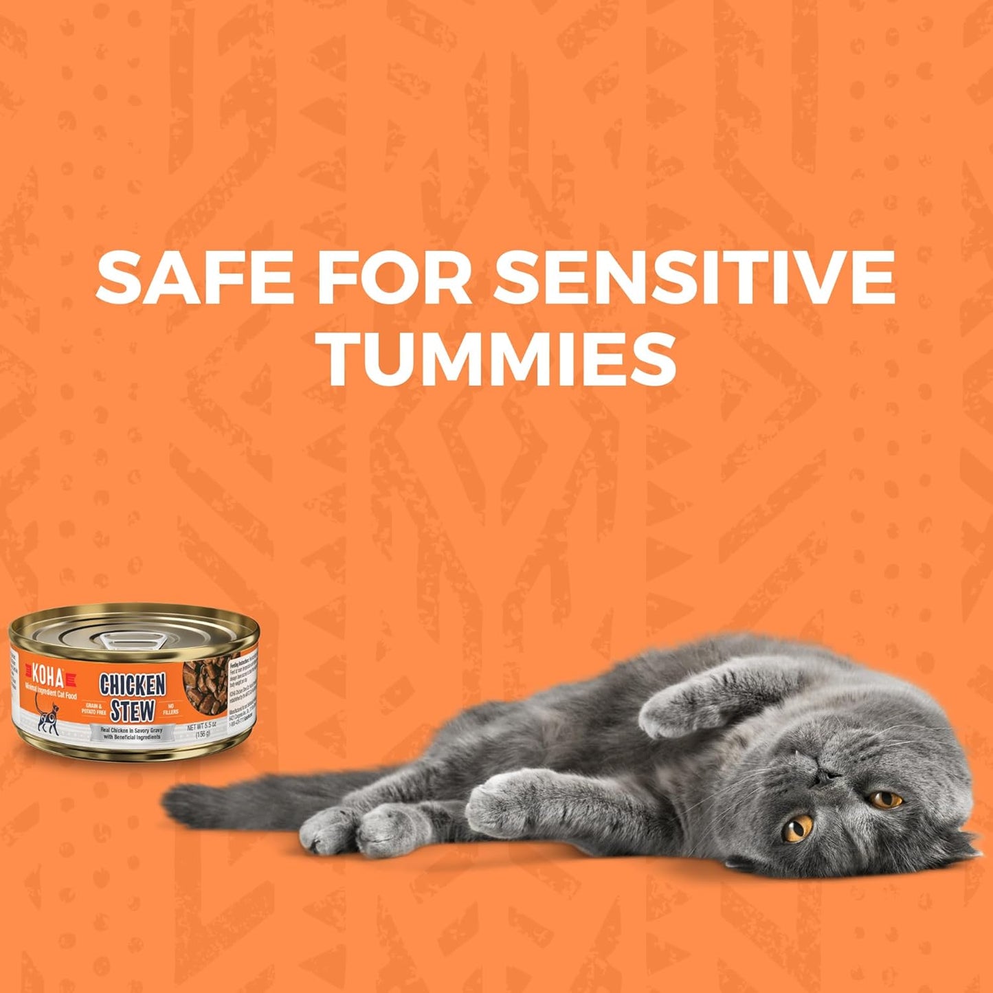 KOHA Minimal Ingredient Chicken Stew for Cats, High Protein Limited Ingredient Wet Cat Food, 5.5oz Cans (Case of 24)