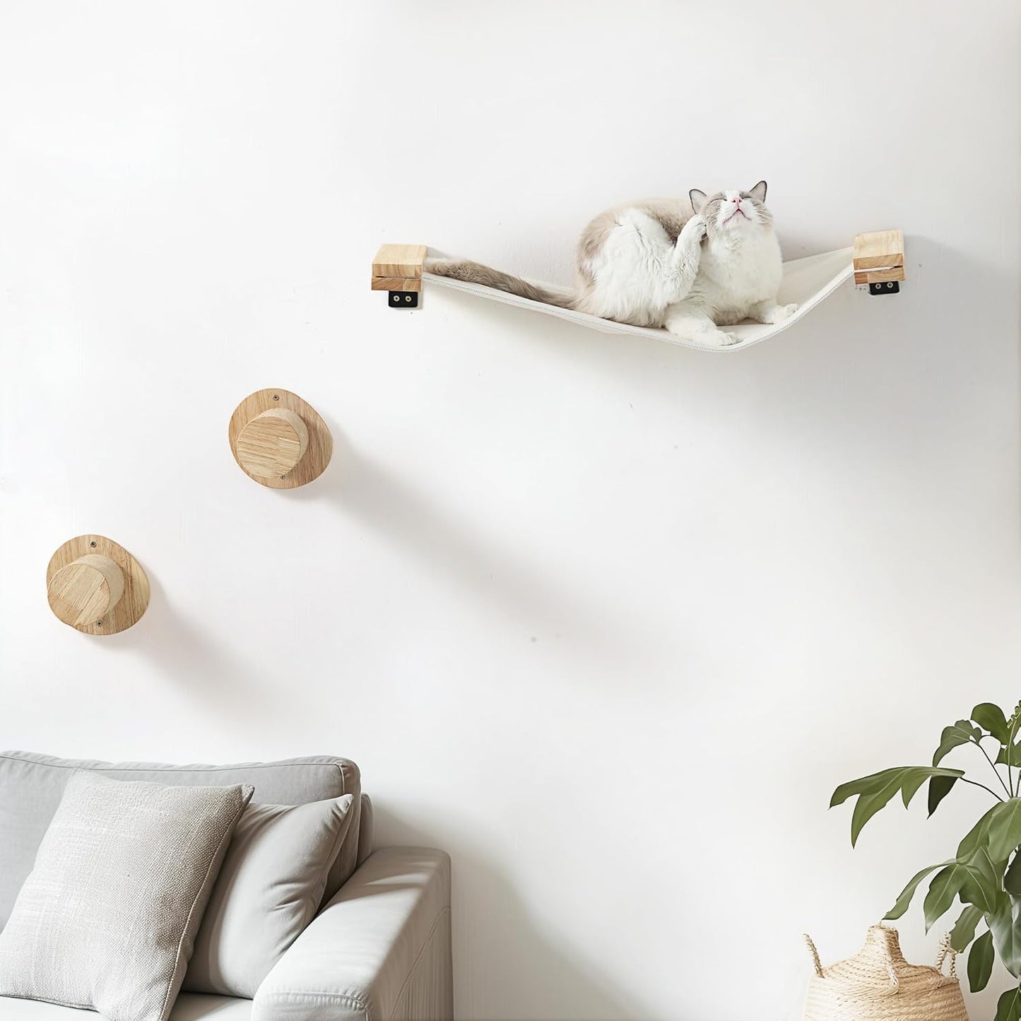 FUKUMARU Cat Wall Furniture, 2 PCS Climbing Shelves Set, Solid Rubber Wood Cat Shelf, Cats Perches for Wall Sleeping, Playing, Jumping and Lounging, 16 inch Drywall Installation