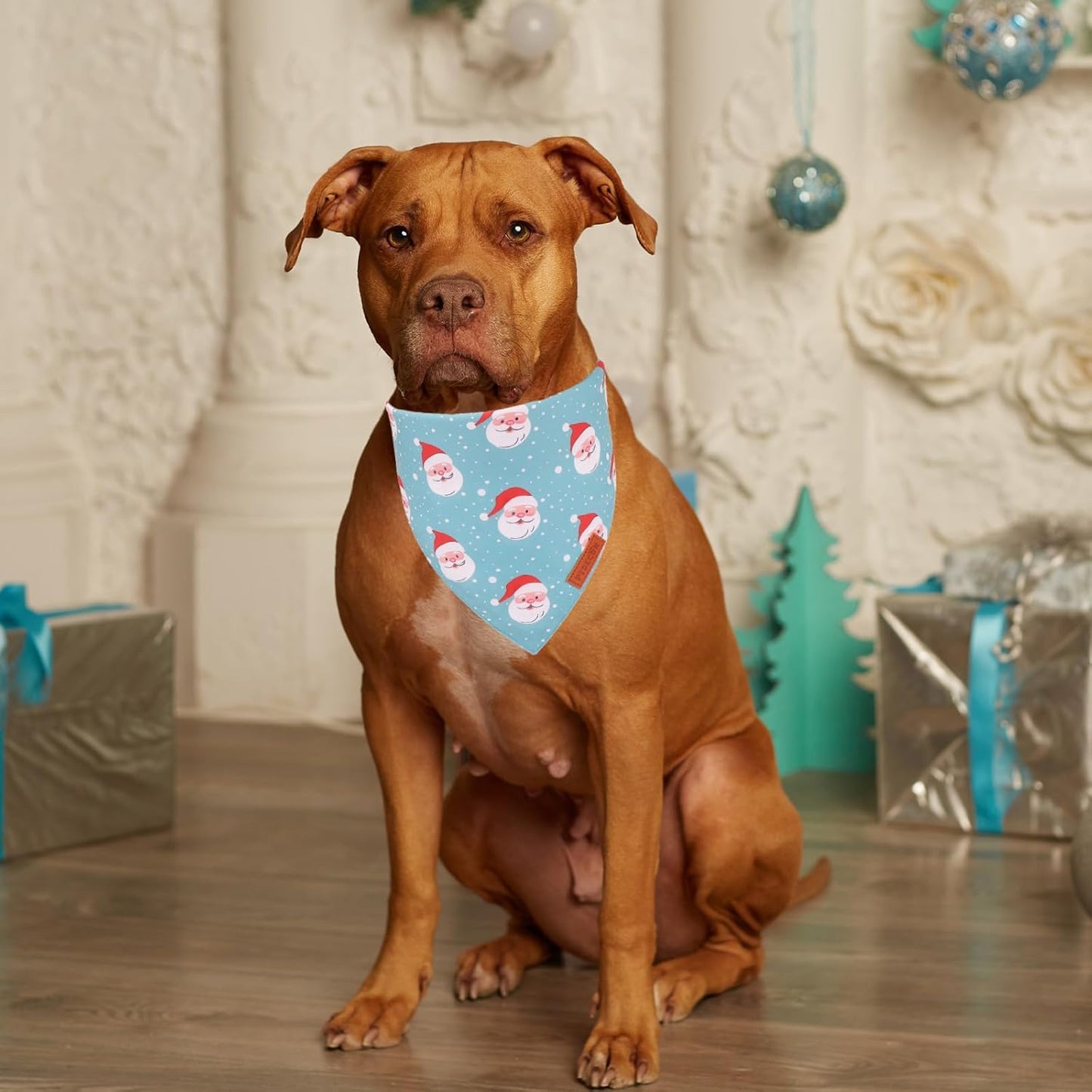 PTDECOR Christmas Dog Bandana, Xmas Light Bulb Santa Reversible Holiday Dog Scarf, Triangle Christmas Bandanas for Medium Large Dogs Pets (Large)