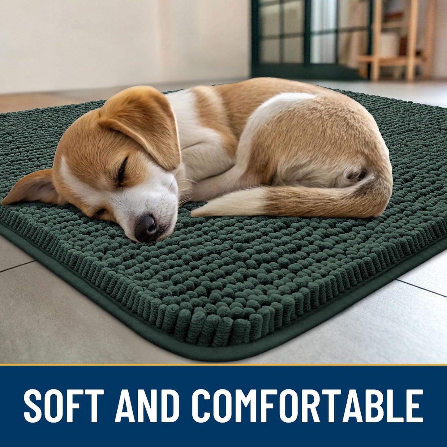 Smiry Dog Door Mat for Muddy Paws 36x24, Absorbs Moisture and Dirt Doormat, Non-Slip Washable Quick Dry Chenille Front Door Mat Indoor Entrance, Entryway Carpet for Inside Floor, Green