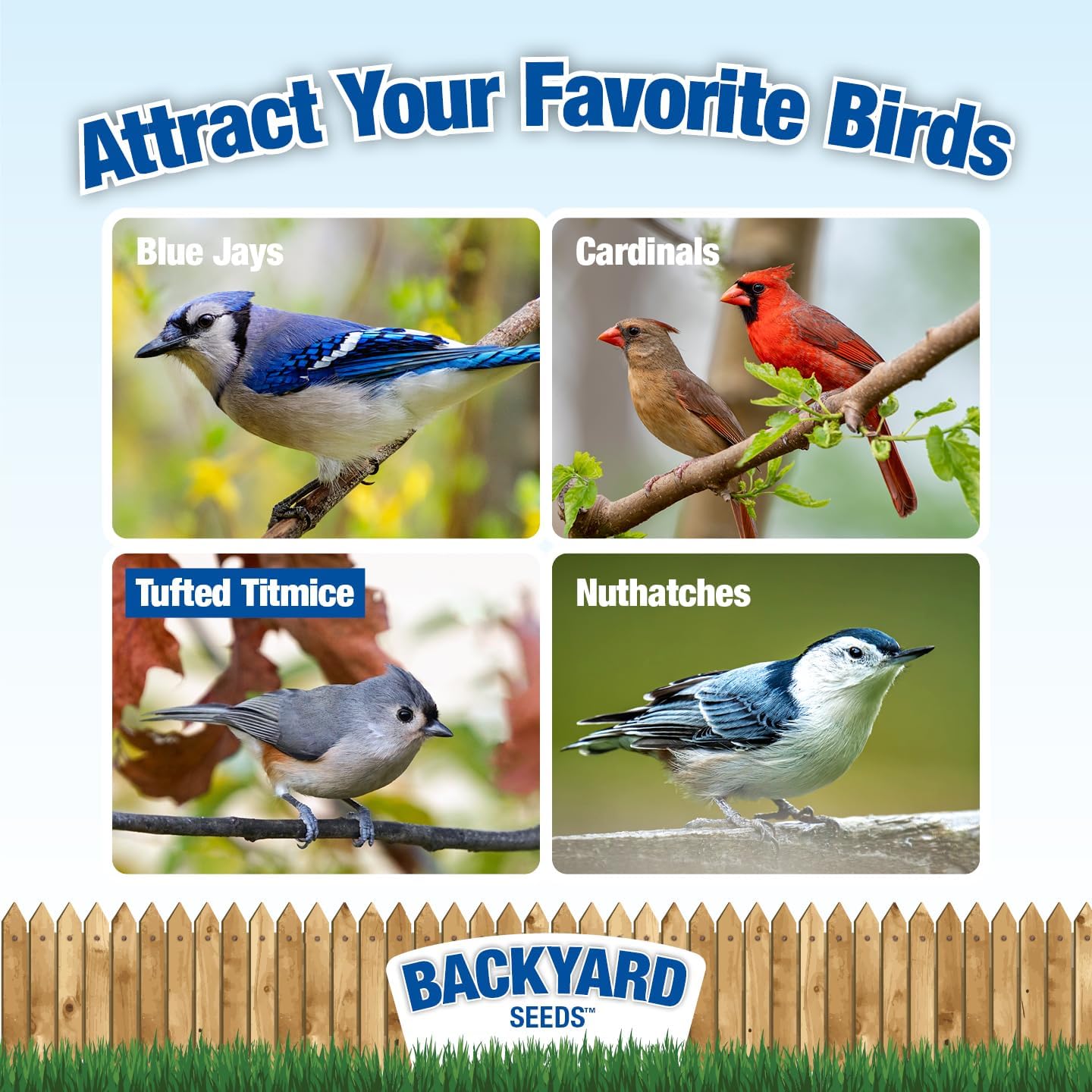 Sunflower Coarse Kernels Hearts No Waste No Mess Bird Seed (50 Pounds)