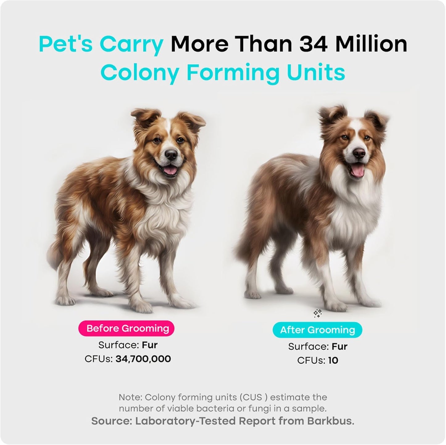 Uproot Clean Pet Groomer Vacuum Kit 7 in 1 - Cat & Dog Grooming Kit with Brush, Detangle, Deshed, Trim, Clean, & Dry Attachments - Complete Cat & Dog Grooming Vacuum for Shedding Pets