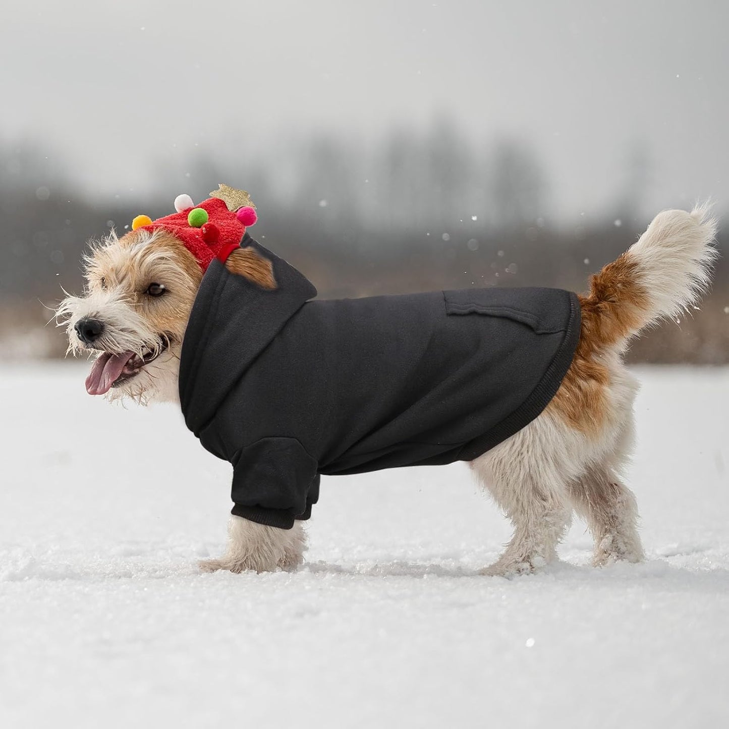 Dog Sweaters for Small Dogs Dog Hoodie Pet Sweater Soft Solid Brushed Fleece Pet Clothes Hoodie Sweatshirt with Pocket(Black-S)