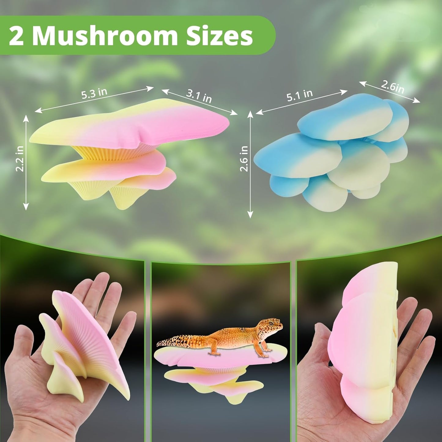 Mushroom Decor for Reptile Tank, Fish Tank, Pet-Safe Bearded Dragon Tank Accessories, Realistic Terrarium Plants for Leopard Geckos, Frogs, Snakes (Rainbow Cluster Cap, Randomly Ship)