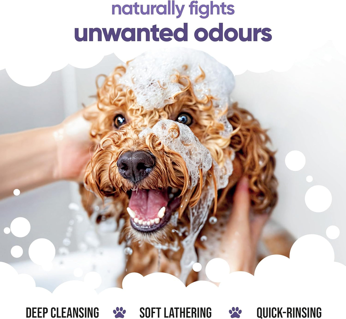 Calming & Deodorising Dog Shampoo by Buddycare | Lavender Scented | with Aloe Vera and Pro Vitamin B5 (169.07oz)