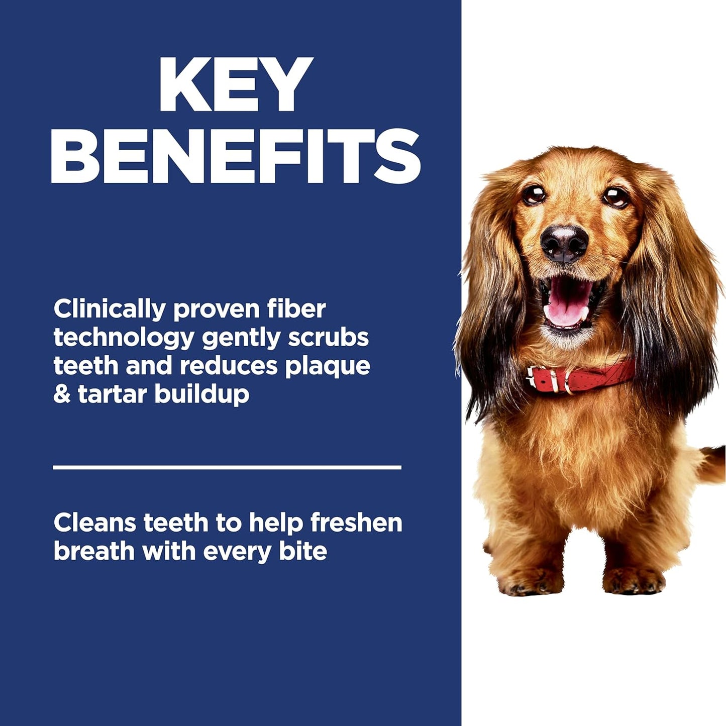 Hill's Science Diet Oral Care, Adult 1-6, Plaque & Tartar Buildup Support, Dry Dog Food, Chicken, Rice, & Barley, 28.5 lb Bag