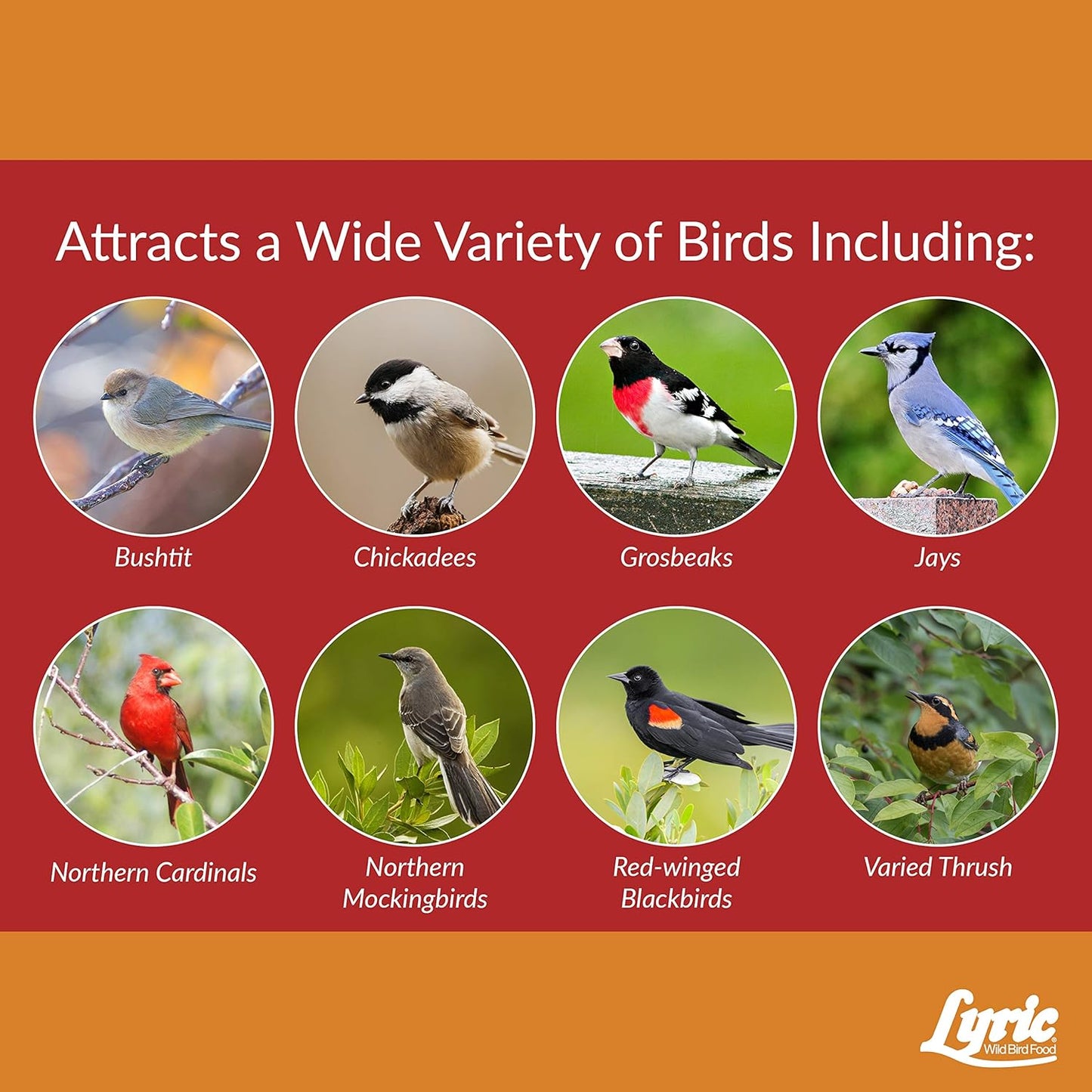 Lyric Cardinal Wild Bird Seed - Sunflower & Safflower Premium Bird Food Mix for Cardinals, Grosbeaks & Blue Jays - 18 lb bag