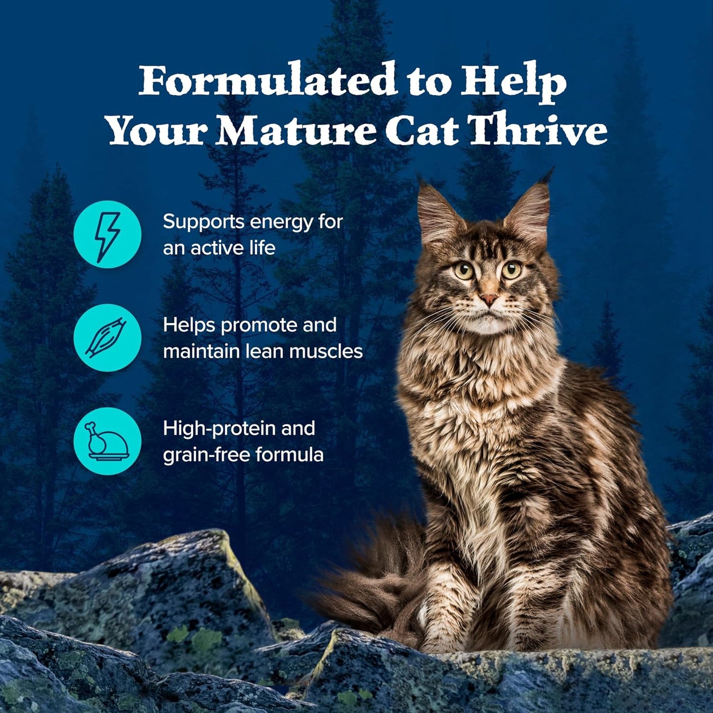 Blue Buffalo Wilderness Wild Delights Minced Wet Cat Food, High-Protein & Grain-Free, Made with Natural Ingredients, Chicken & Trout Recipe in Tasty Gravy, 5.5-oz. Cans (24 Count)