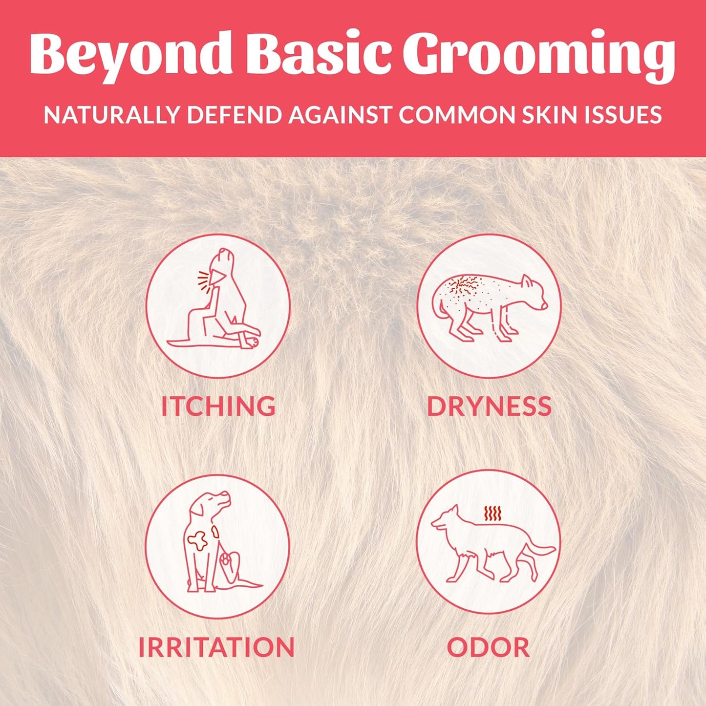 Skout's Honor Probiotic Dog Shampoo & Conditioner with Avocado Oil & Omega-3s, 97% Natural, Paraben & Sulfate-Free, Cruelty-Free, 16oz, Sunkissed Coconut, 2-Pack