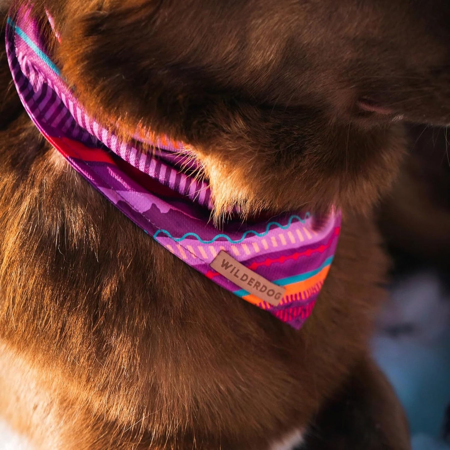 Wilderdog Dog Bandana with Lightweight Quick Drying Poly-Blend Mesh Material in Dawn