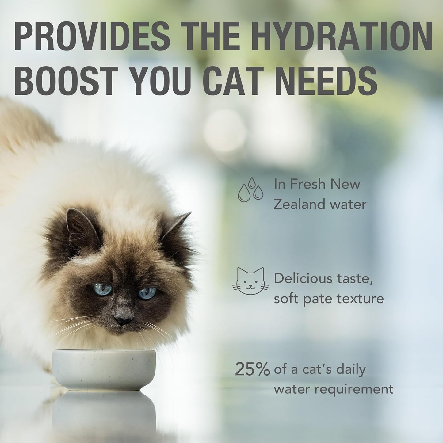 Feline Natural Wet Cat Food Pouch - Chicken & Lamb Feast, Grain-Free, Cage-Free & Grass-Fed, New Zealand Made, Single Serve Pate, 3oz, 12 Pack