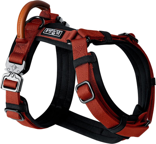MADE TO ROAM Premium Explorer Harness - Y-Shaped Dog Harness with Adjustable Durable Nylon, Soft Padding, Metal Buckles and Leather Handle for Small, Medium, Large Dogs (Texas Flair, Size 2)