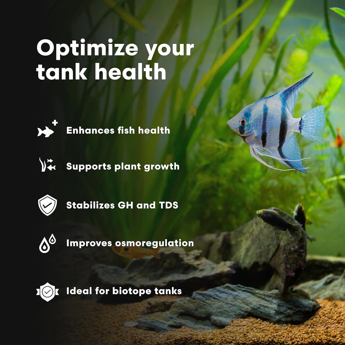 Brightwell Aquatics Remineraliz - Adds Minerals to Distilled, Deionized, or Reverse Osmosis Water for Freshwater Aquarium Use 500-ml