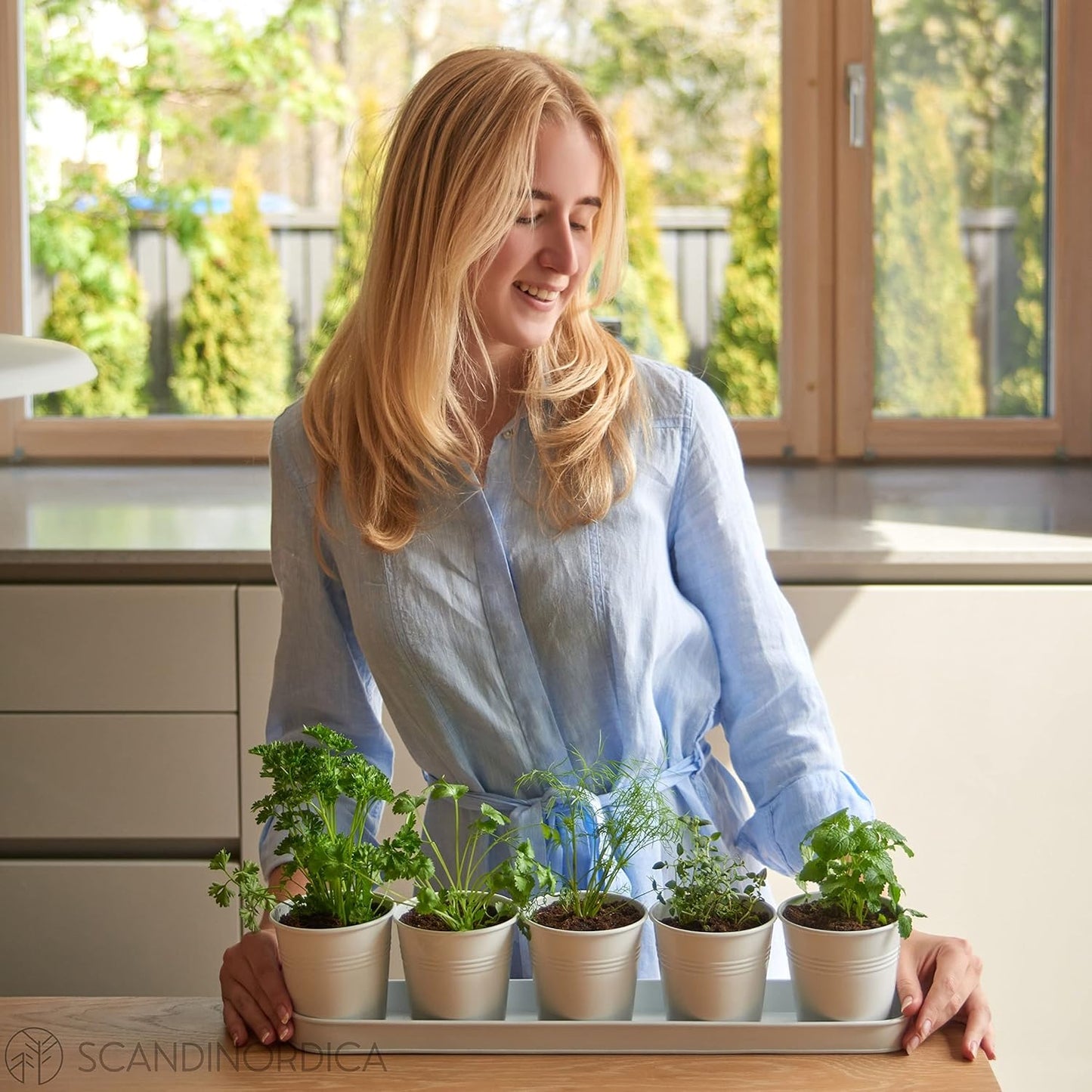 SCANDINORDICA White Herb Planter 5 Pots with Drainage Holes and Tray, Windowsill Planter, Indoor/Outdoor Herb Pots