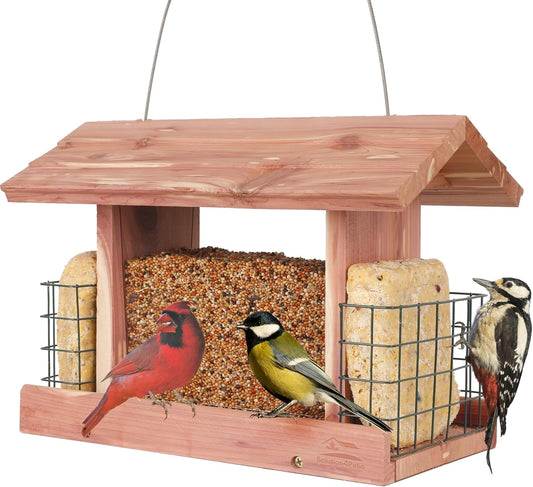 Solution4Patio US Cedar Hopper Bird Feeder for Outdoors Hanging, Handcrafted Wood Double Suet Cage & Clear View Windows, Squirrel-Proof Wild Bird Feeder for Cardinals, Finches, Chickadees
