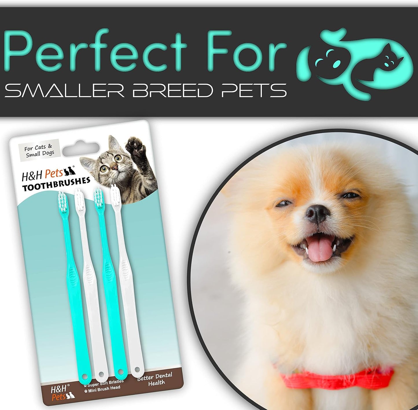 H&H Pets Toothbrush for Small Dogs & Cats - Soft and Extra Small Toothbrush Designed for Cats, Puppies, and XS Breed Dogs Like Teacups, Chihuahuas, Yorkshire, and Poodle, 4 Count Pack