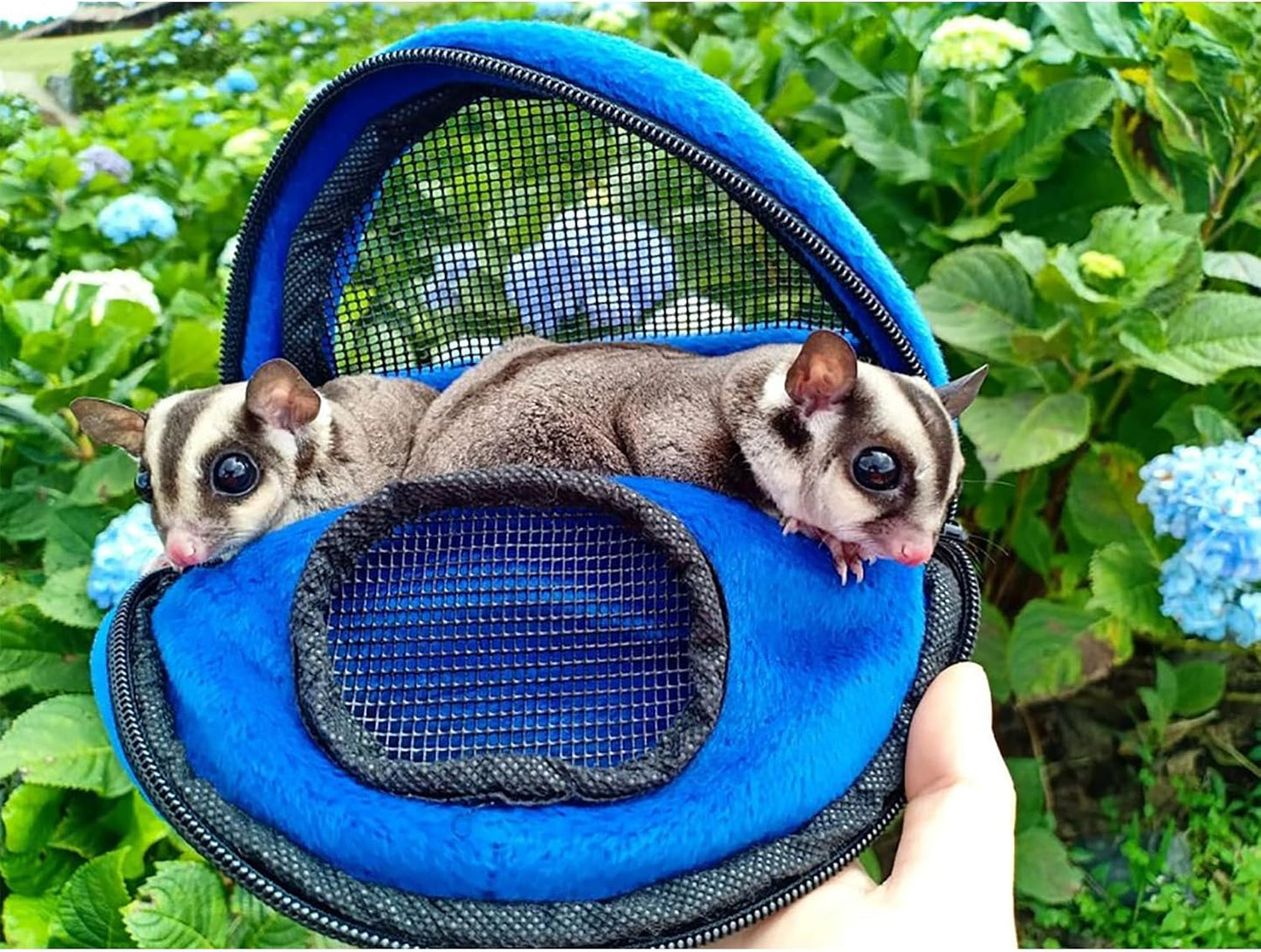 Kucci Carry Pouch - Fleece Travel Bonding Carrier Bag - for Sugar Gliders, Squirrels, Marmosets, Hamsters, Rodents, Rats, Reptiles & Other Small Pets (Regular)