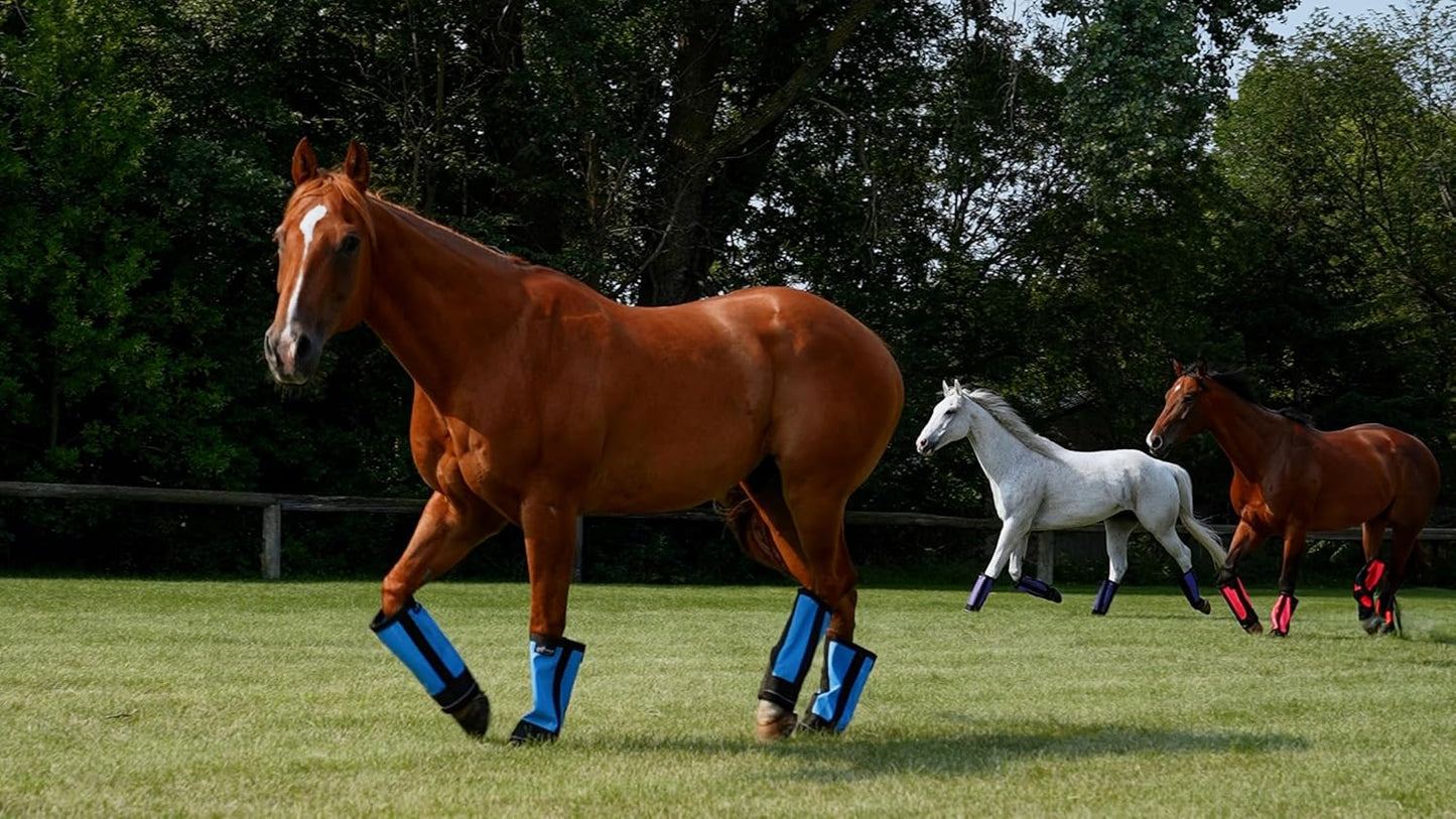 Warrior Fly Boots for Horses - Breathable Mesh Horse Boots for Fly Protection & Leg Comfort - Set of 4 (The Warrior, Neon Orange)