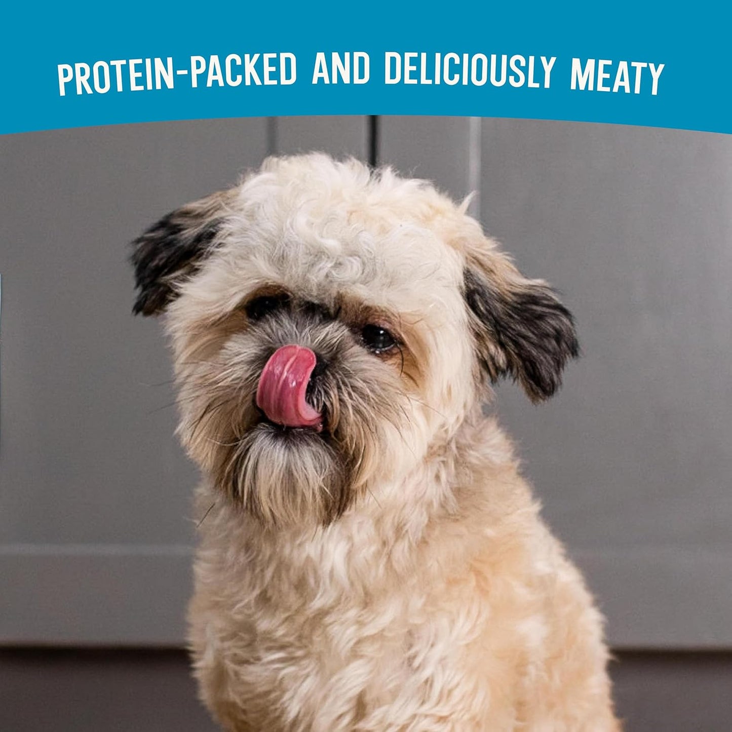 Open Farm, Air Dried Dog Food Infused with Bone Broth, Grain & Legume Free, Complete Meal or Food Topper, Surf & Turf Recipe, 2lb Bag