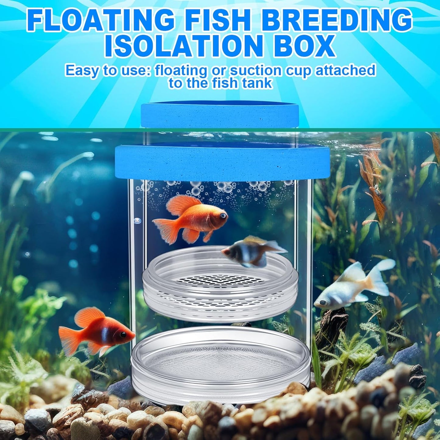 2 Pcs Breeder Box for Fish Tank Aquarium Breeder Separation Net Breeding Box with Suction Cup for Small Fish Shrimp Clownfish Guppy(Blue,L)