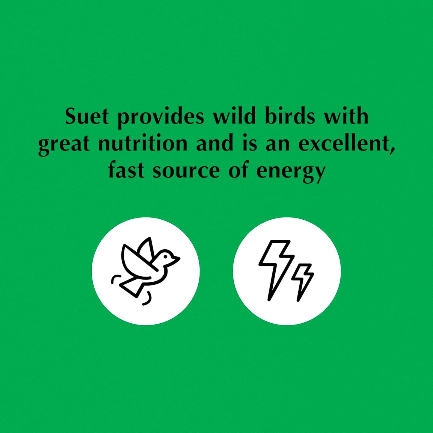 C&S Insect Delight No Melt Suet Dough 11.75 Ounces 8 Pack