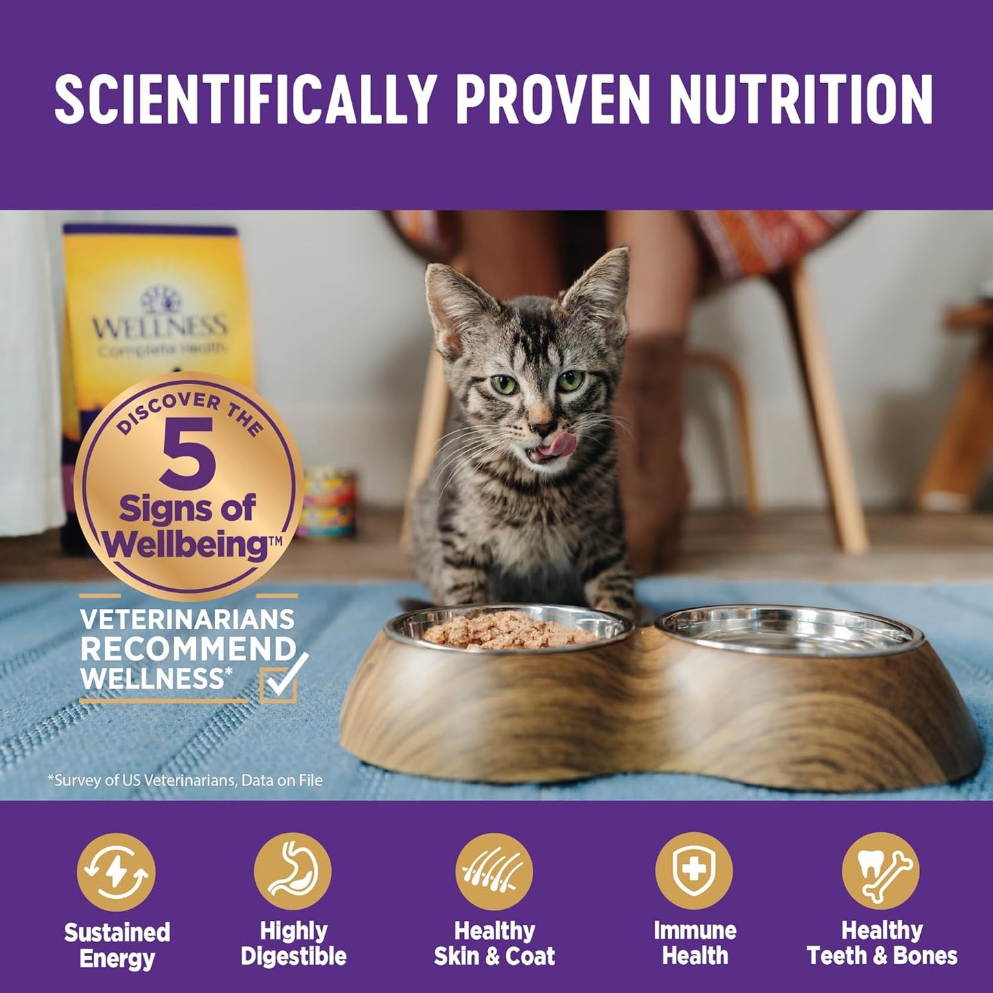 Wellness Complete Health Pate Adult Wet Cat Food, Natural, Protein-Rich, Grain Free, 3 Ounce, 24 Pack, (Beef & Salmon)