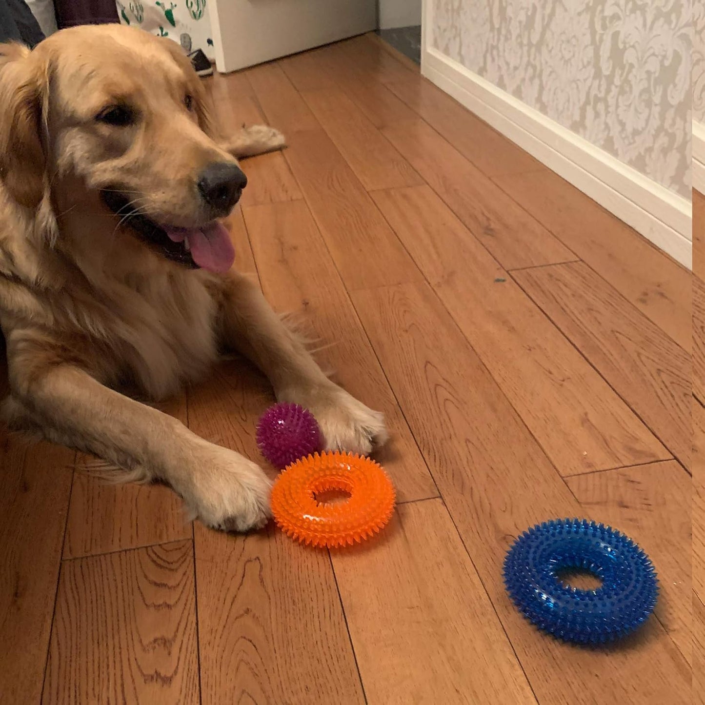 Jalousie Dog Squeaky Toys Value Set Non-Toxic Squeaky Balls Toss Fetch TPR Rubber Puppy Toys Spikey Dog Chew Toy for Small Medium Breed Pet Toys for Puppy (3 Pack Spiky Balls)