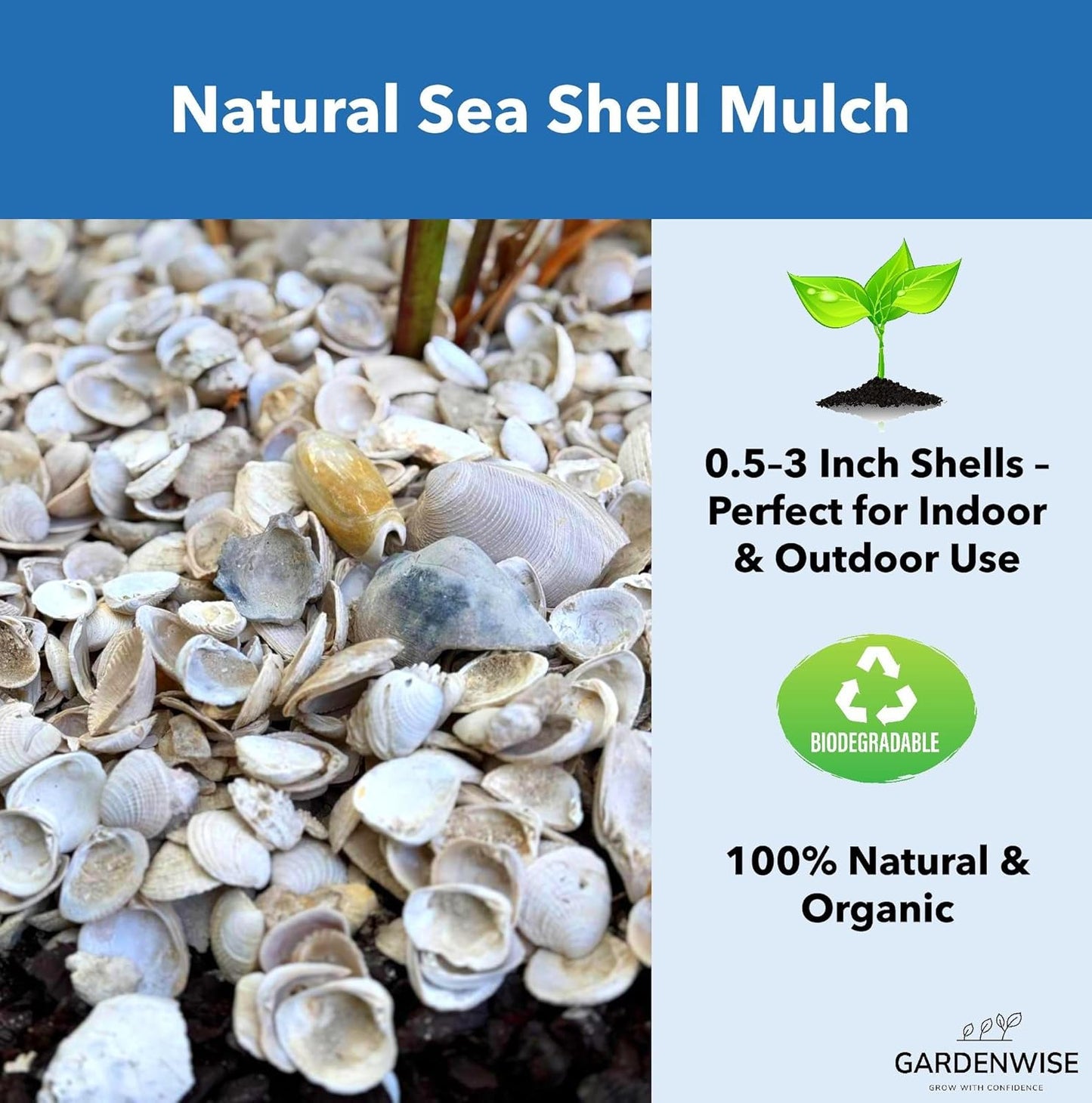 Natural Organic Sea Shell Mulch for Gardens and Landscaping – Decorative and Nutrient-Rich, 0.5–3-Inch Shells, Perfect for Indoor and Outdoor Use (0.2 CF - 4.8 L - 5 QTS)