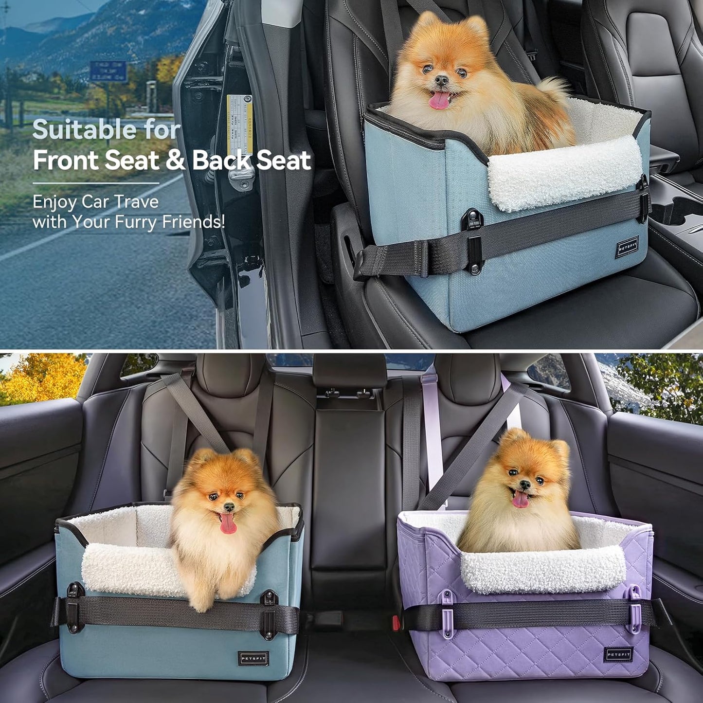 PETSFIT Dog Car Seats for Small Dogs, Patent Safe Buckles Dog Booster Car Seat, Pet Car Seat with Safety Belt, Suitable for Small Pets Up to 25lbs (Mint Green)