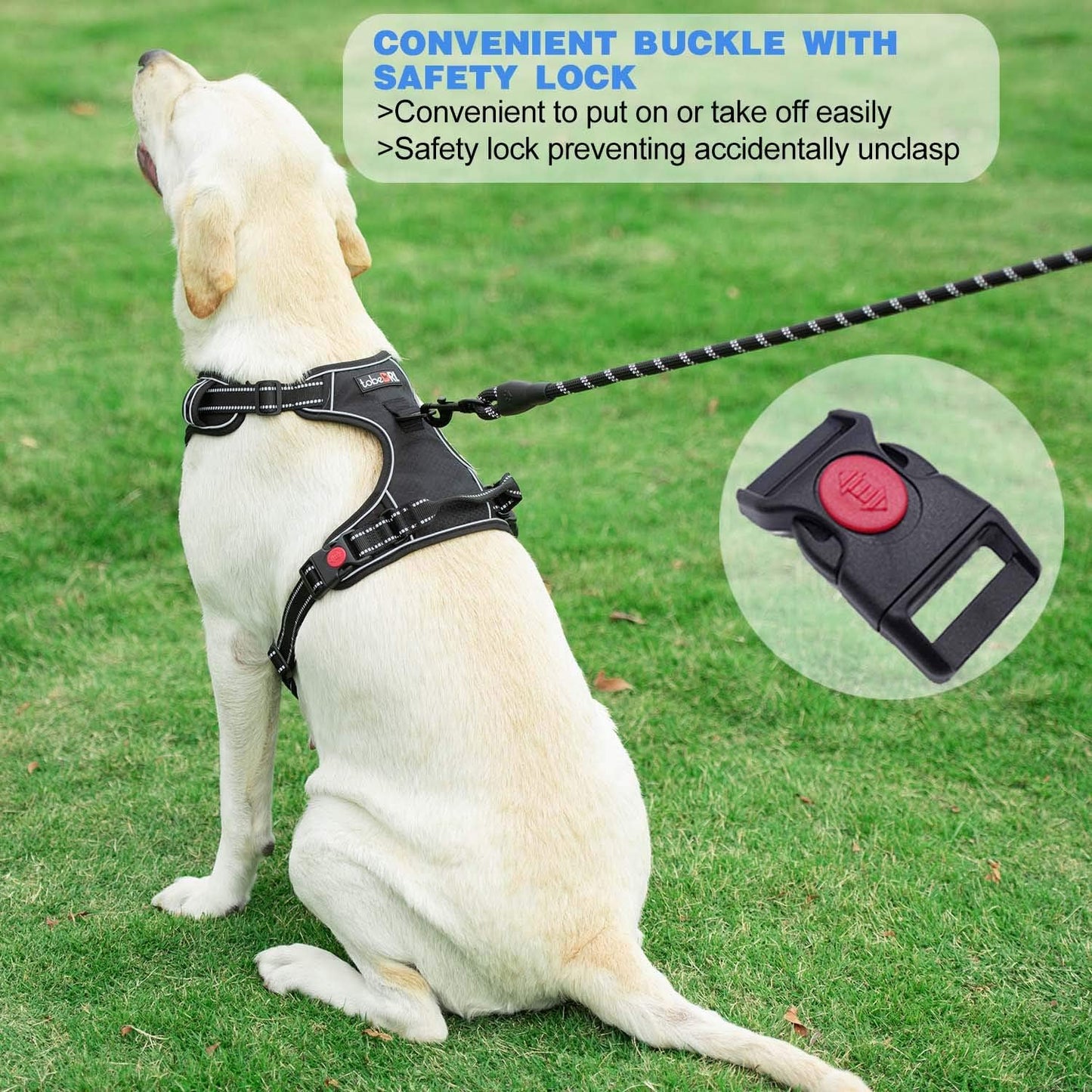 No Pull Dog Harness Adjustable Reflective Oxford Easy Control Medium Large Dog Harness with A Free Heavy Duty 5ft Dog Leash (XL (Chest: 31"-39"), Orange Harness+Leash)