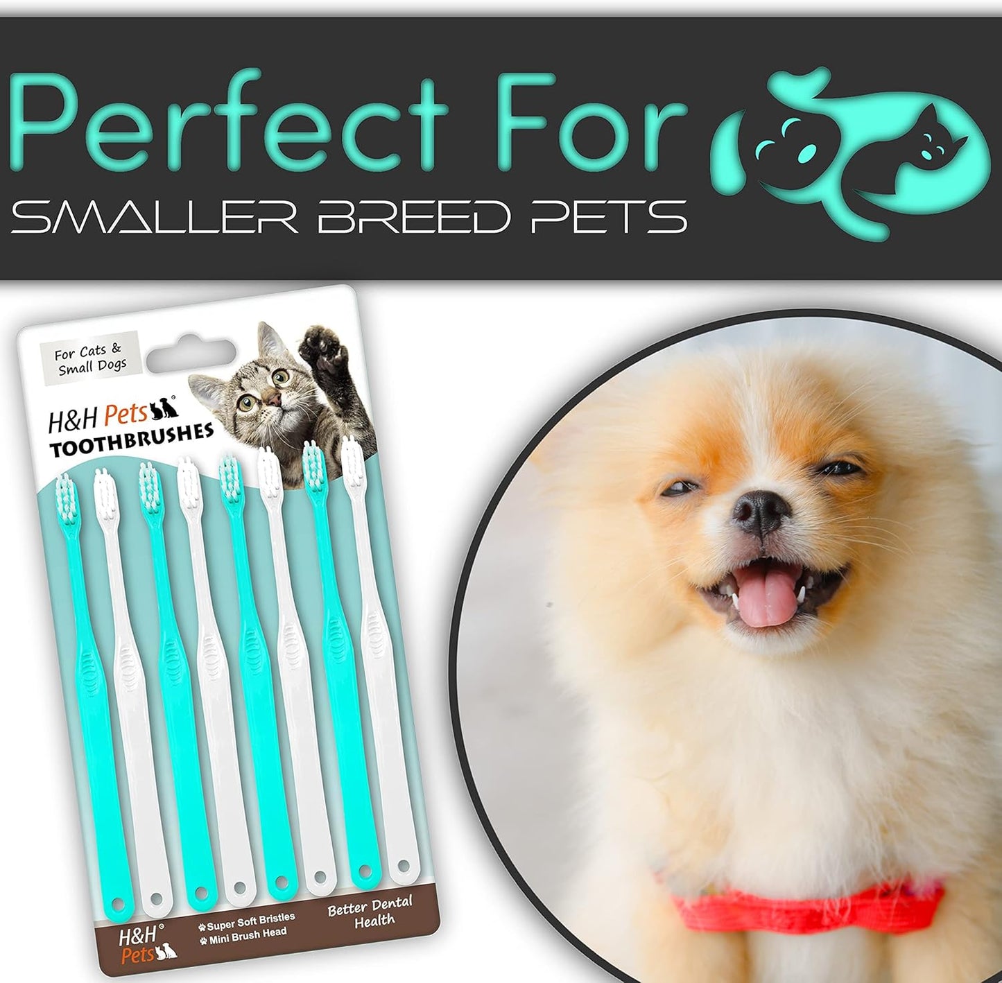 H&H Pets Toothbrush for Small Dogs & Cats - Soft and Extra Small Toothbrush Designed for Cats, Puppies, and XS Breed Dogs Like Teacups, Chihuahuas, Yorkshire, and Poodle, 8 Count Pack