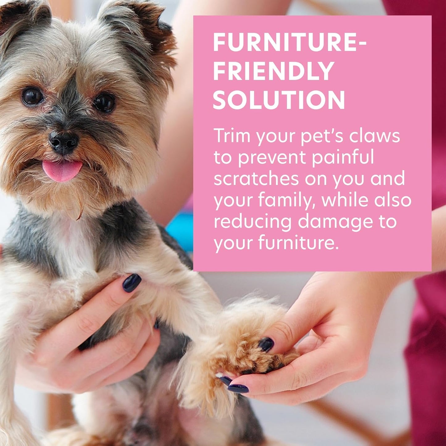 Bona Fide Beauty Pet Nail File Made of Czech Glass, Quiet and Painless Pet Nail Filer for Small Dogs, Cats, Birds, and Rabbits