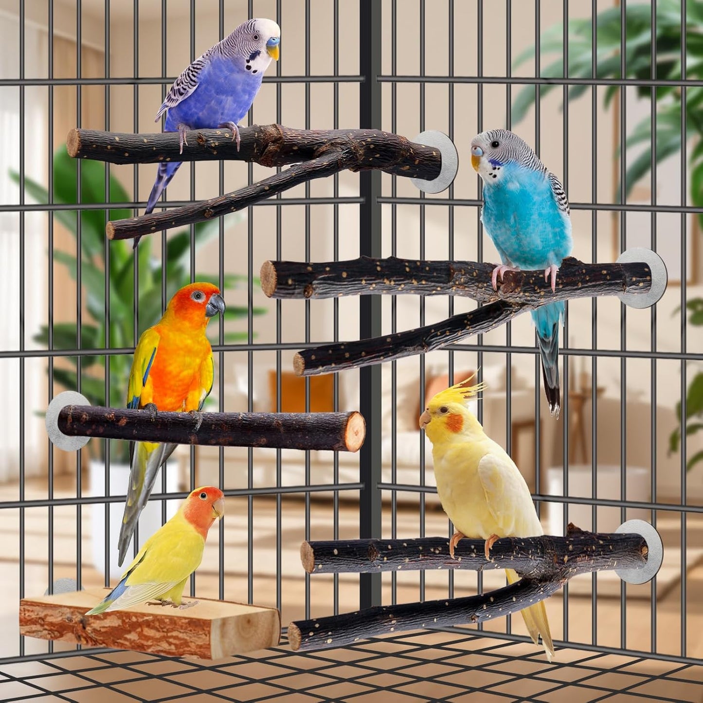 Bird Toys Parakeet Perch Budgie Perch Wood Stand Fork Toys Multi-Branch Perch Platform Toy for Small Conures,Cockatiel,Parrotlet,Lovebird,Parrot,Finches