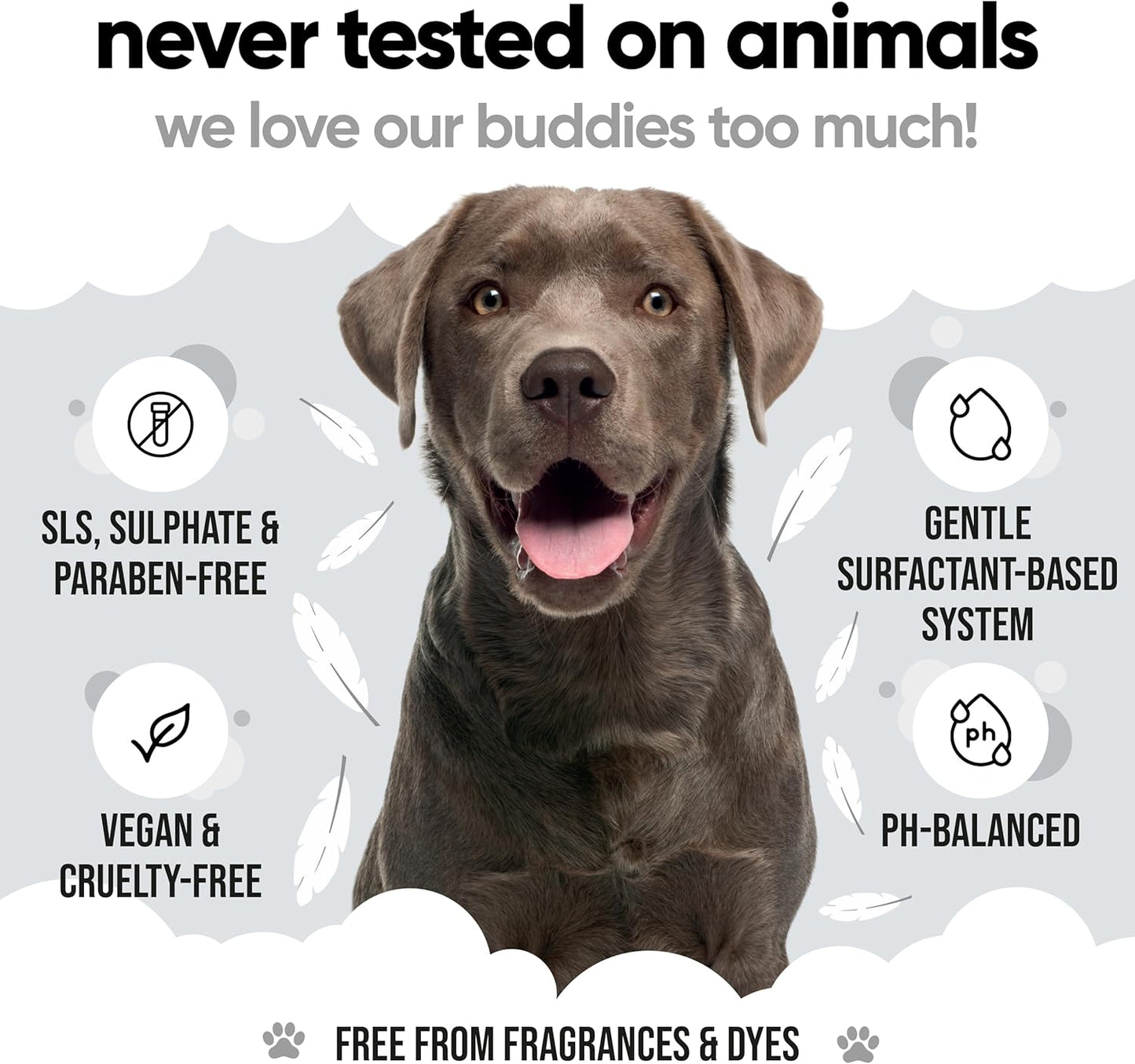 Derma Sensitive Dog Shampoo with Aloe Vera and Pro Vitamin B5 (169.07oz)