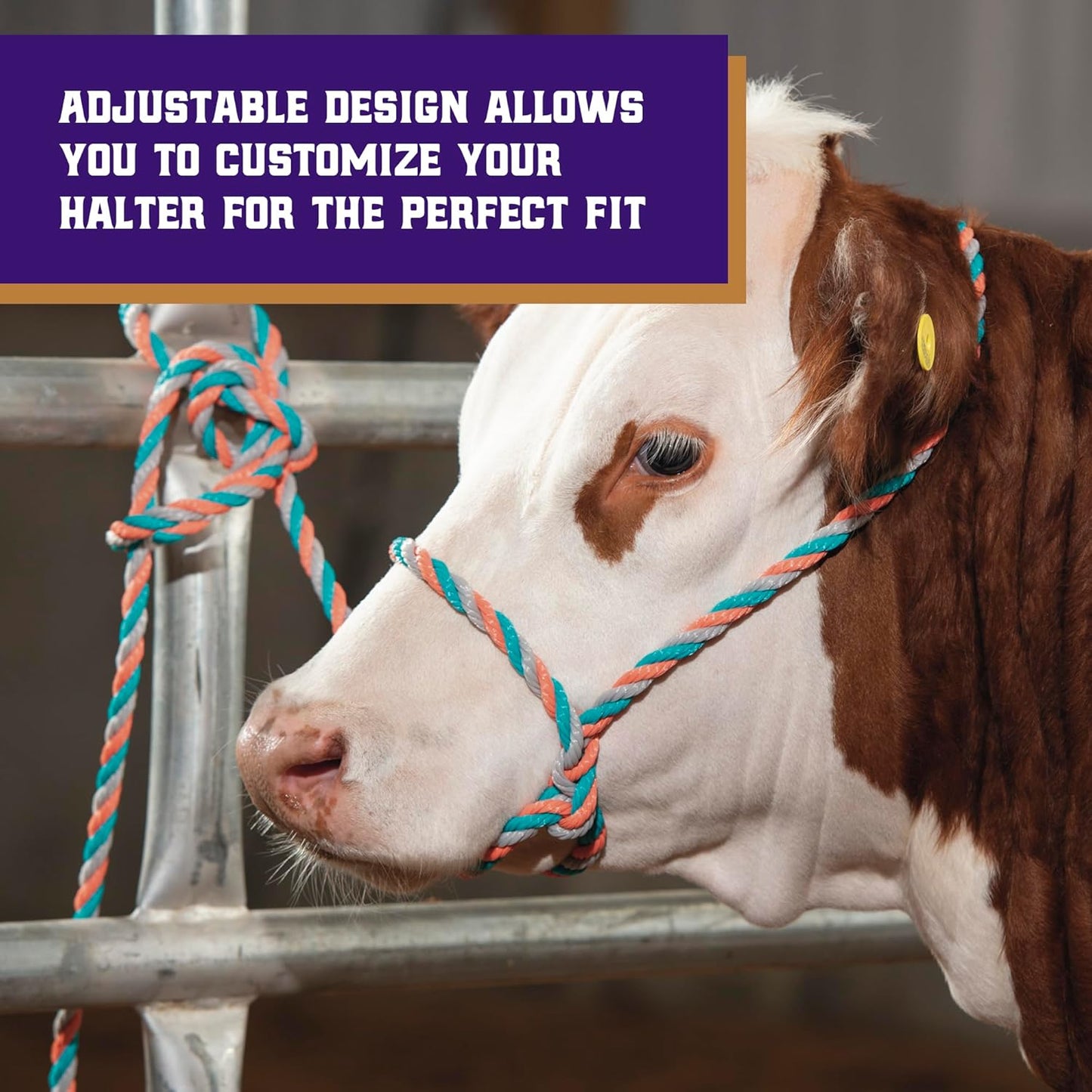 Weaver Leather Livestock Cattle Poly Rope Halter