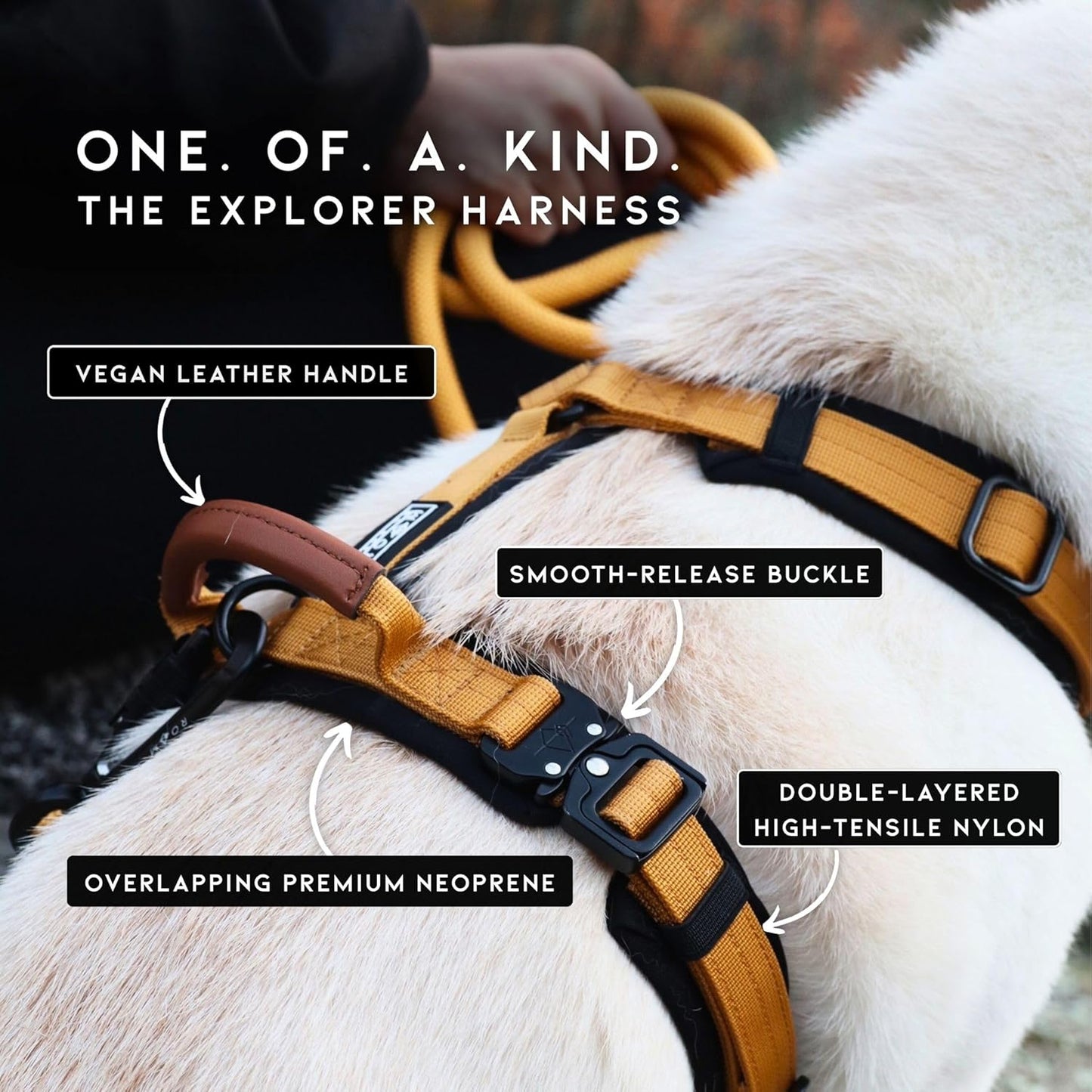 MADE TO ROAM Premium Explorer Harness - Y-Shaped Dog Harness with Adjustable Durable Nylon, Soft Padding, Metal Buckles and Leather Handle for Small, Medium, Large Dogs (Florida Seaside, Size 7)